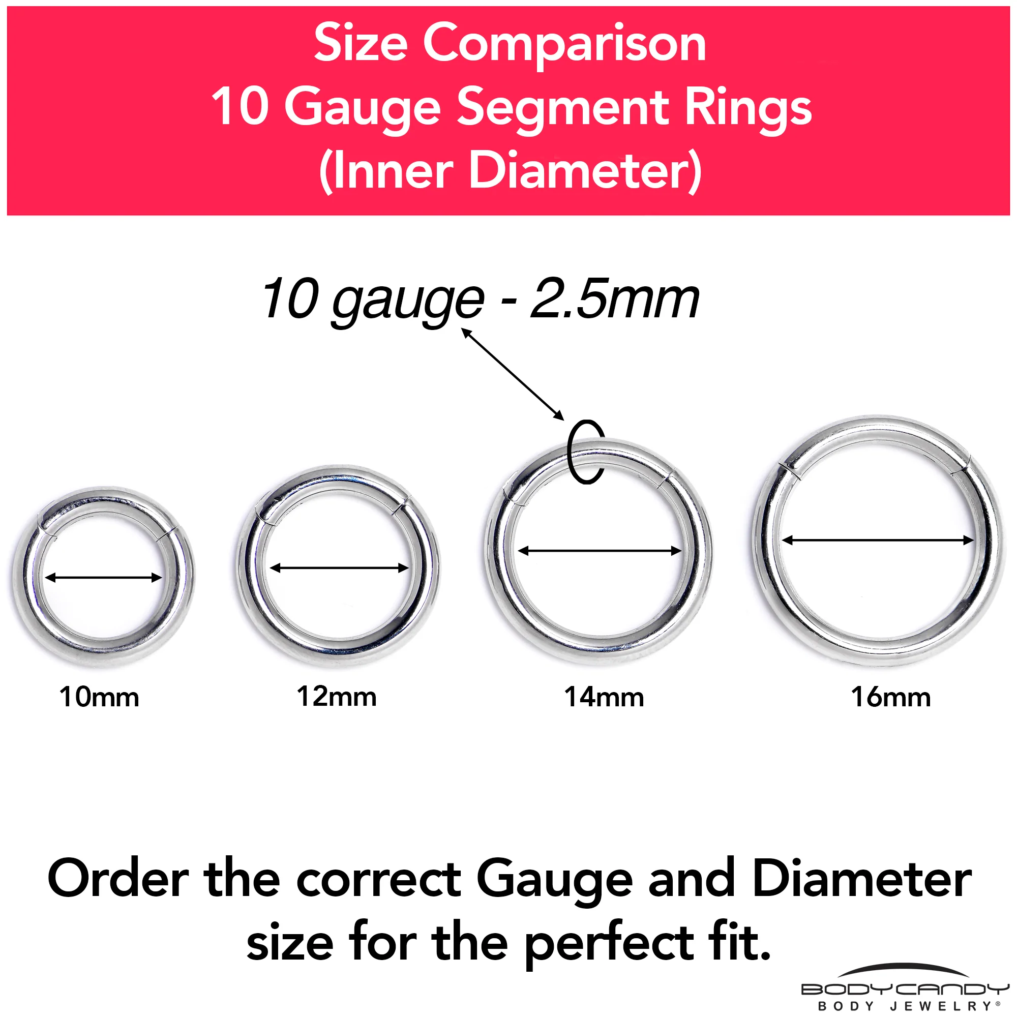 10G 3/8 316L Surgical Steel Precision Hinged Segment Hoop - Image 9