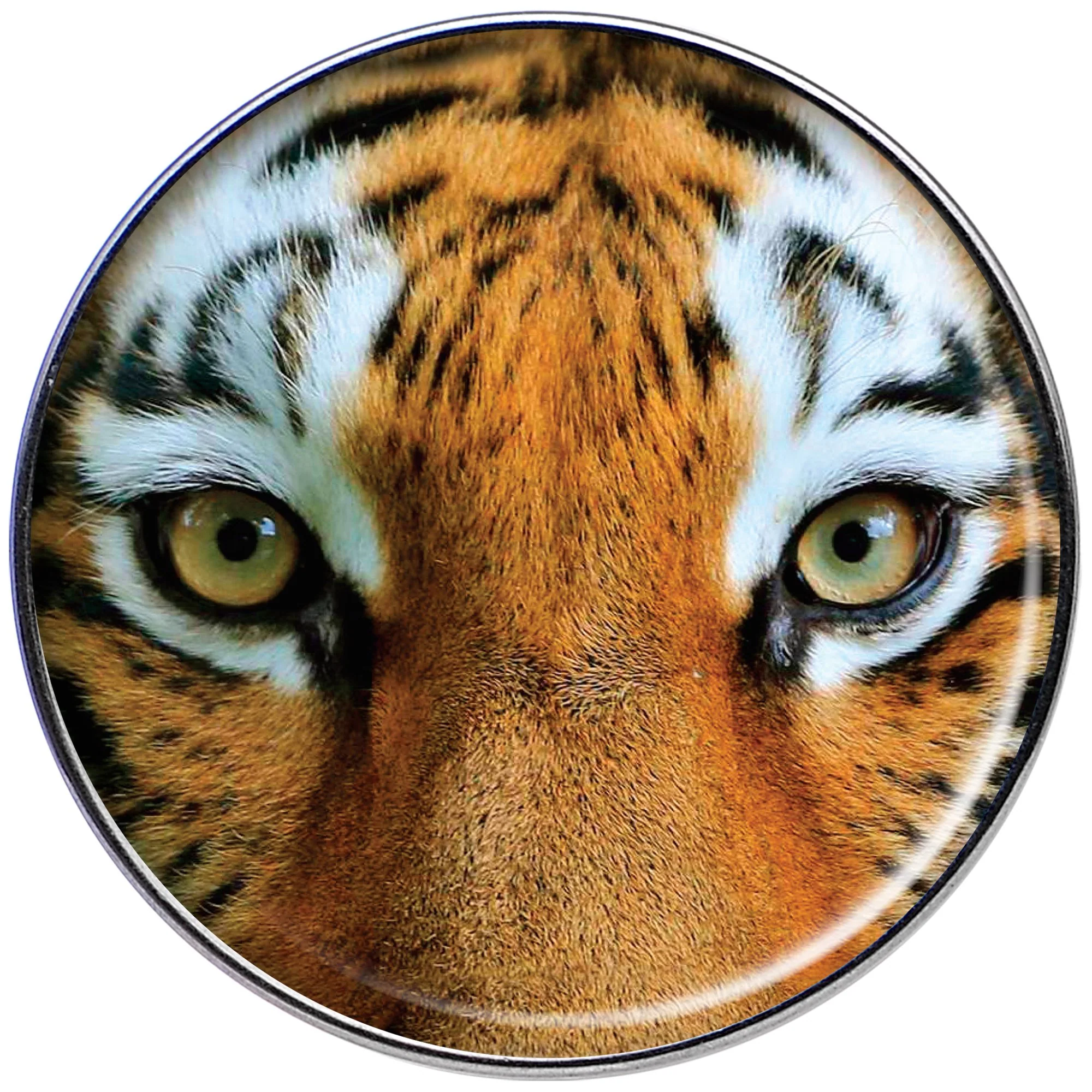 16G 1/4 Full Color Tiger Eyes Tragus Cartilage Earring - Image 2