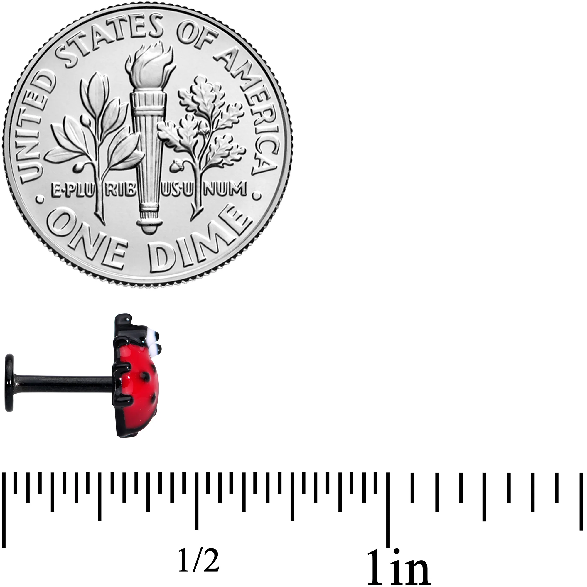 16G 1/4 Black Insect Ladybug Labret Monroe Tragus - Image 4