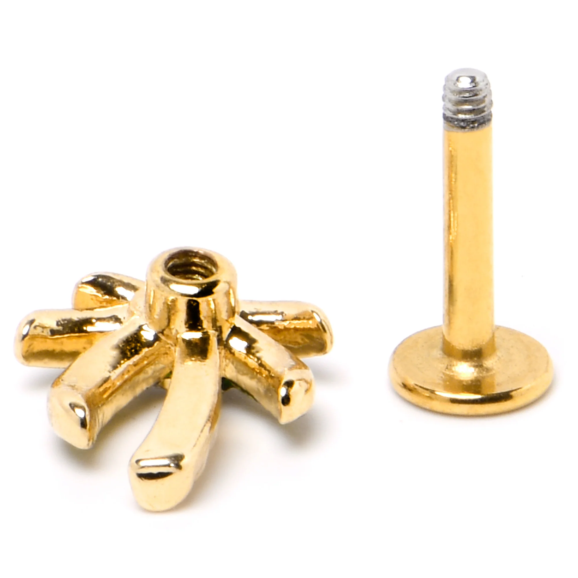 16G 1/4 Clear Gem Gold Tone Palm Tree Style Labret - Image 6