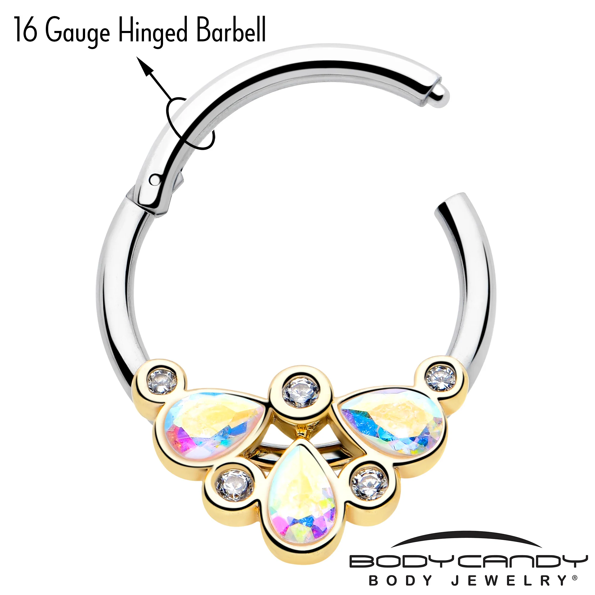 16G 3/8 Aurora Gem Golden Crown Deluxe Hinged Segment Ring - Image 3