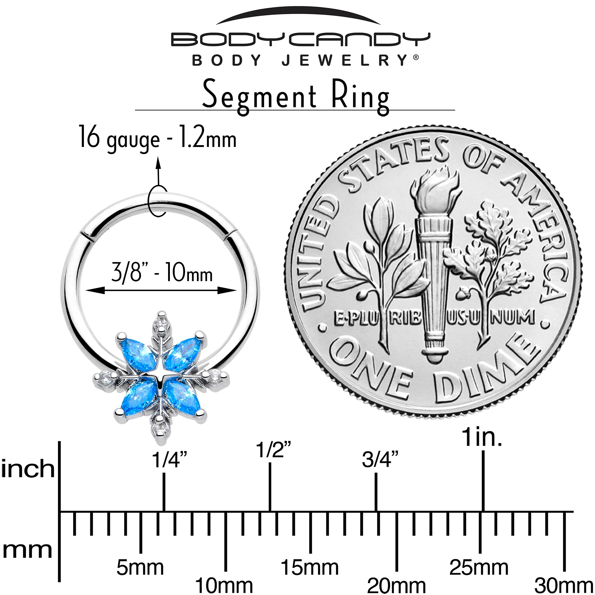 16G 3/8 Blue CZ Gem Classic Flower Hinged Segment Ring - Image 4
