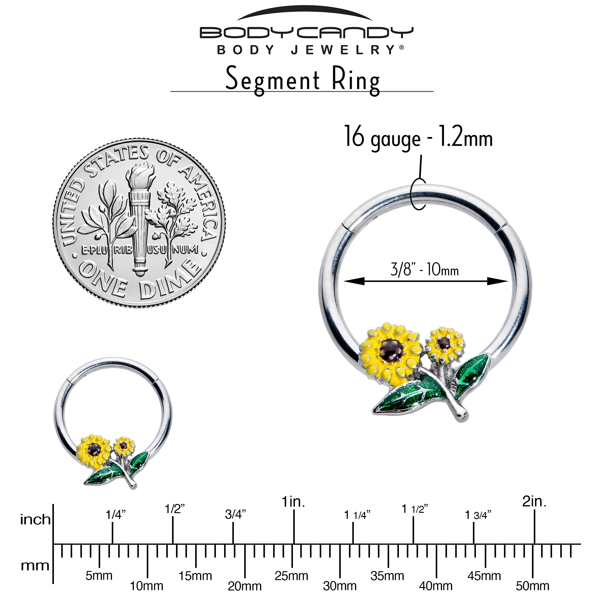 16G 3/8 Cheery Inlay Sunflowers Hinged Segment Ring - Image 4