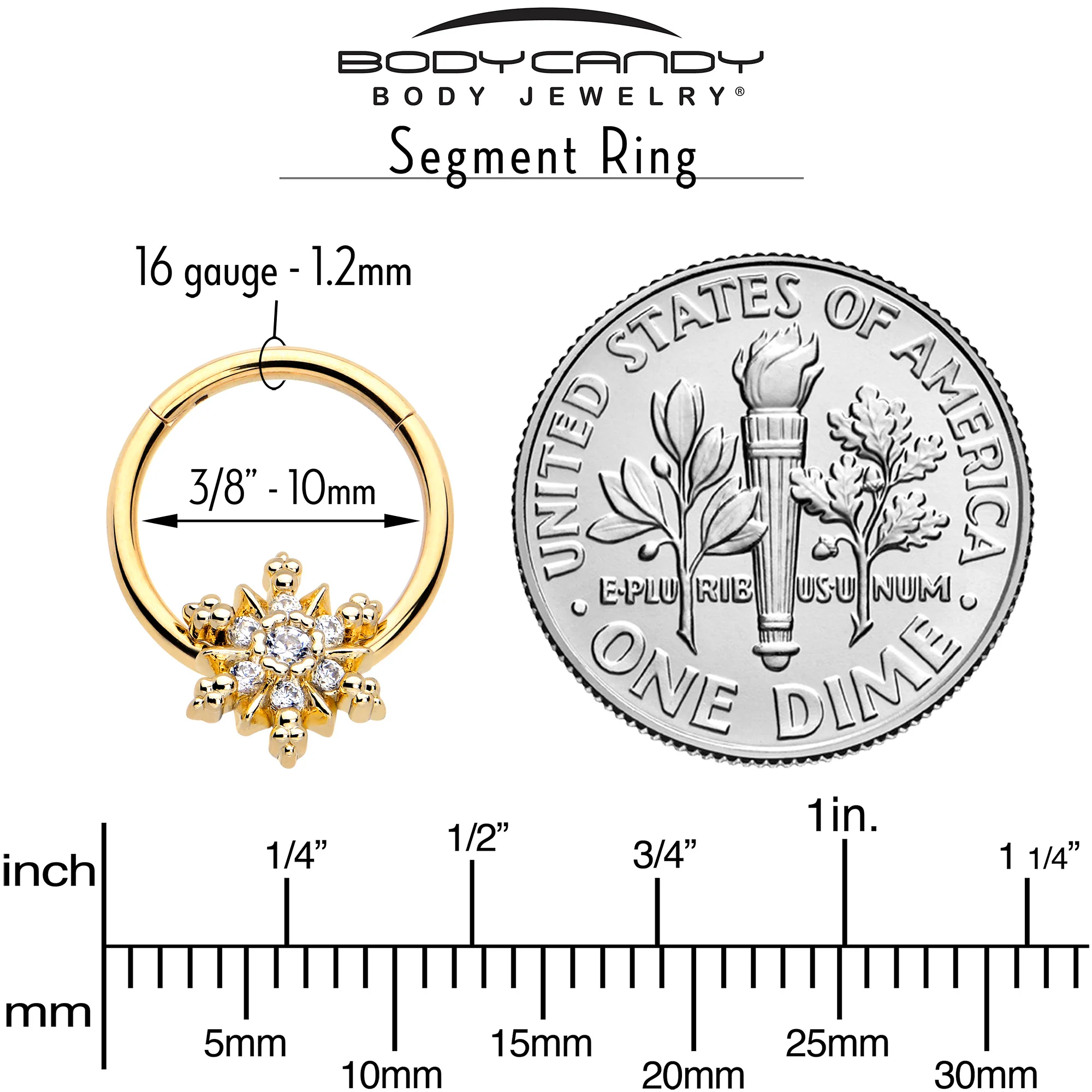 16G 3/8 Clear CZ Gem Gold Tone Glam Snowflake Hinged Segment Ring - Image 4