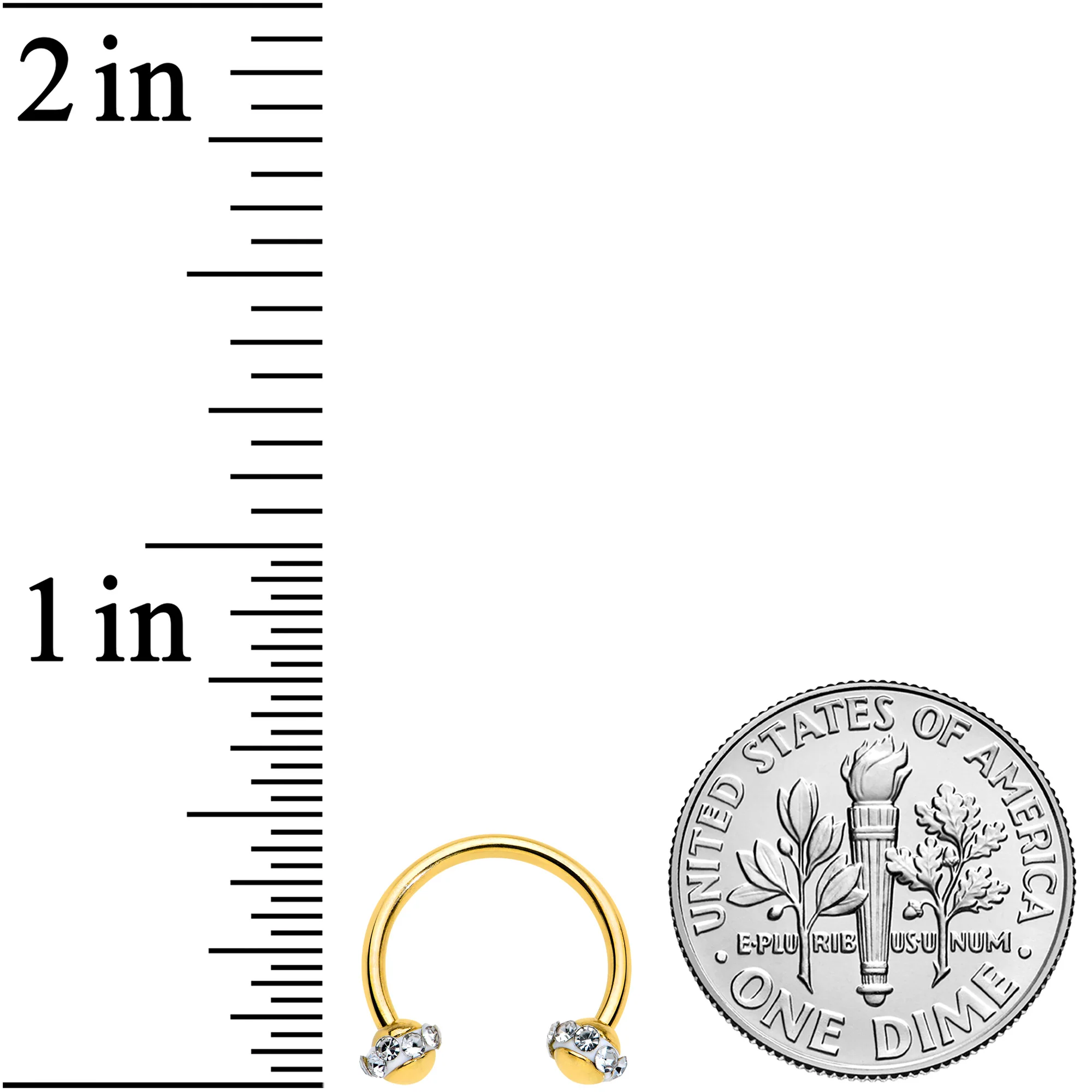 16G 3/8 Clear Gem Gold Tone Banded Horseshoe Circular Barbell - Image 2