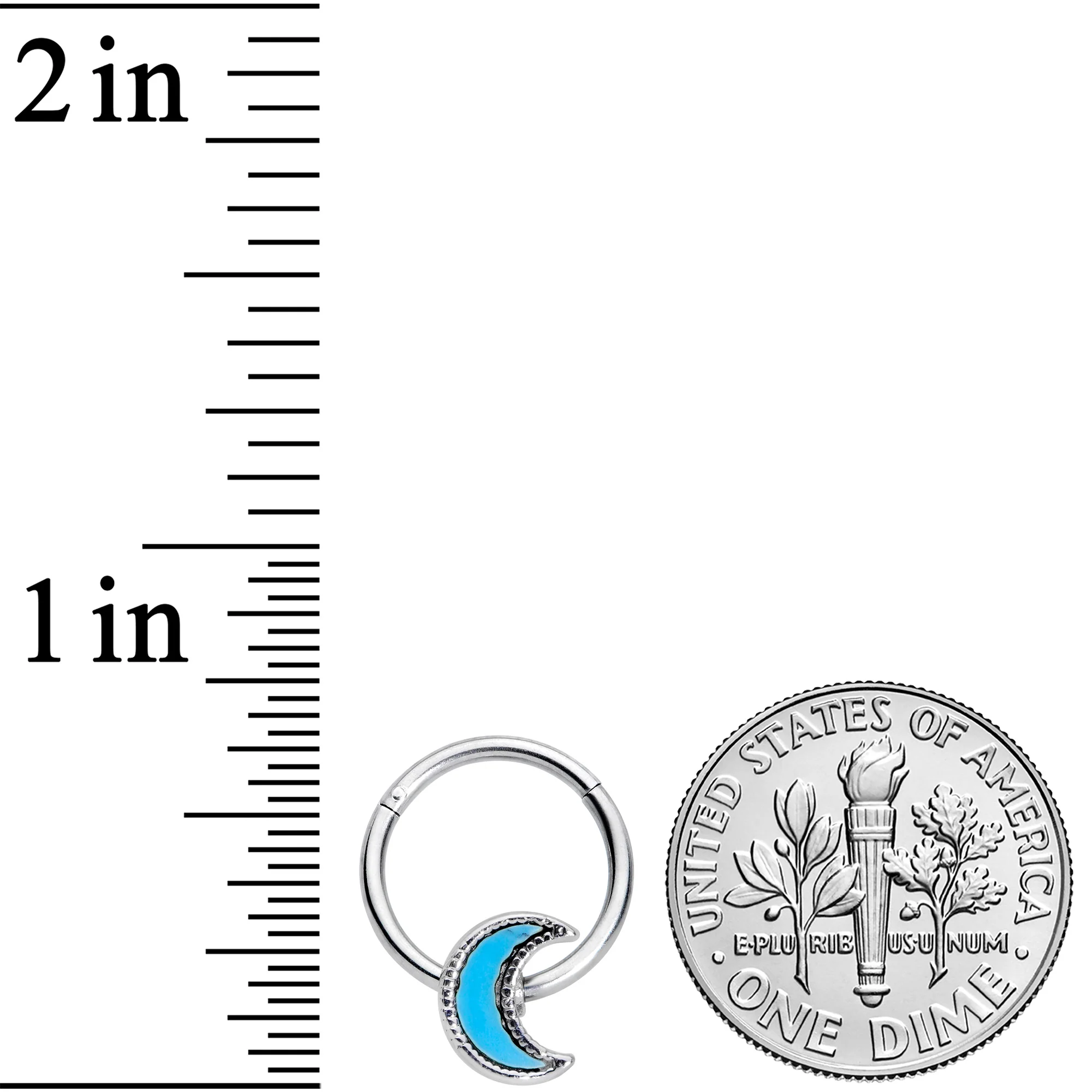 16G 3/8 Faux Turquoise Crescent Moon Hinged Segment Ring - Image 3