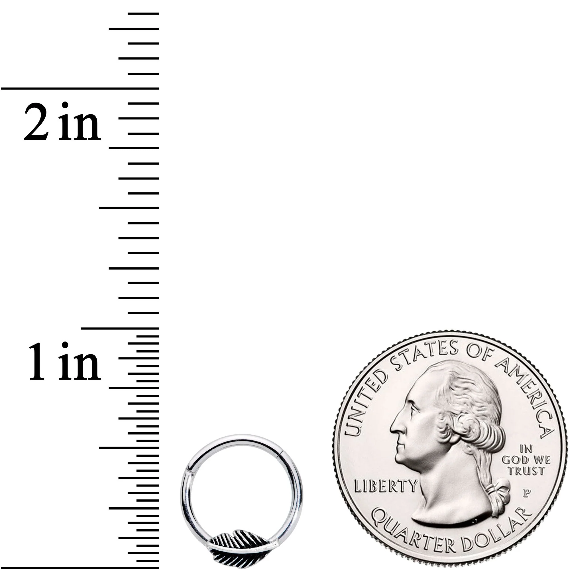 16G 3/8 Floating Feather Hinged Segment Ring - Image 3