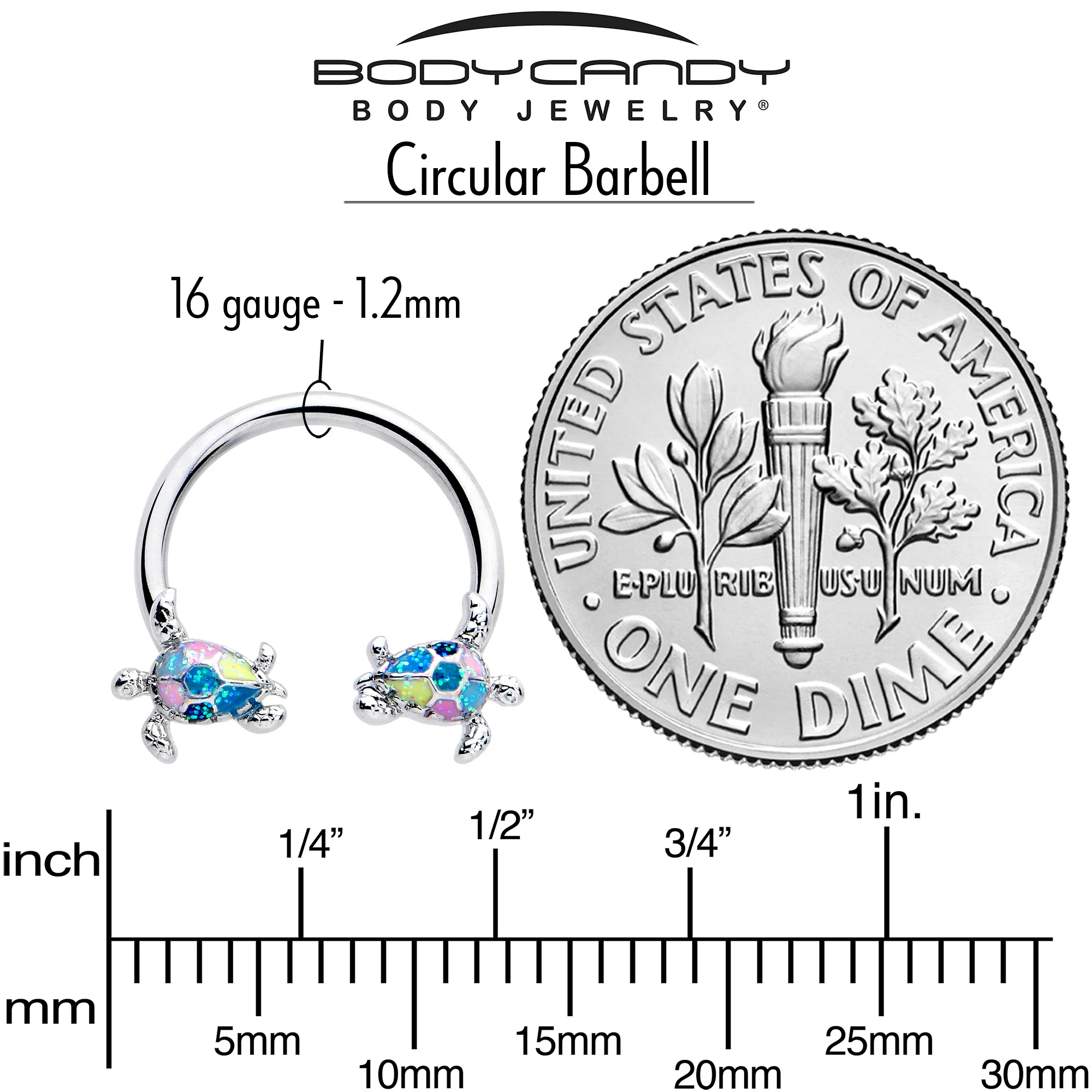16G 3/8 Glitter Turtle Horseshoe Circular Barbell - Image 4