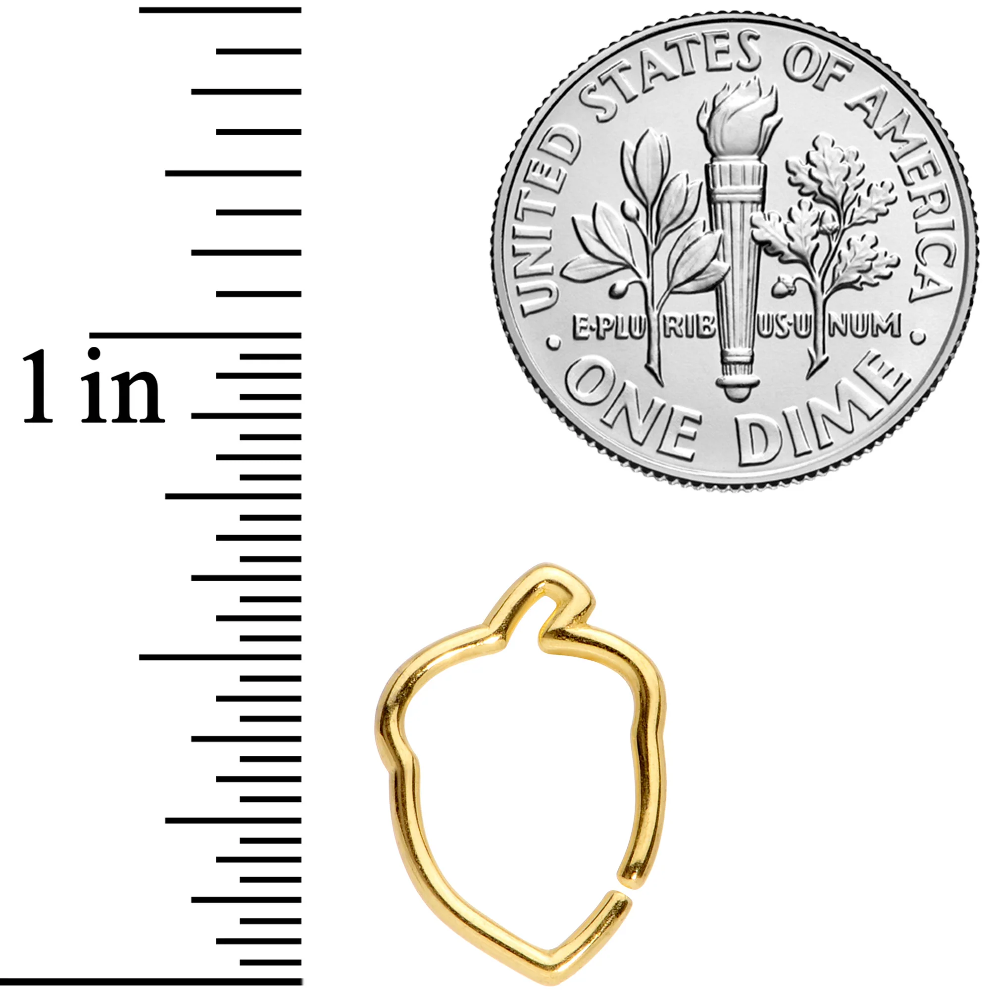 16G 3/8 Gold Tone Autumn Acorn Closure Ring - Image 5