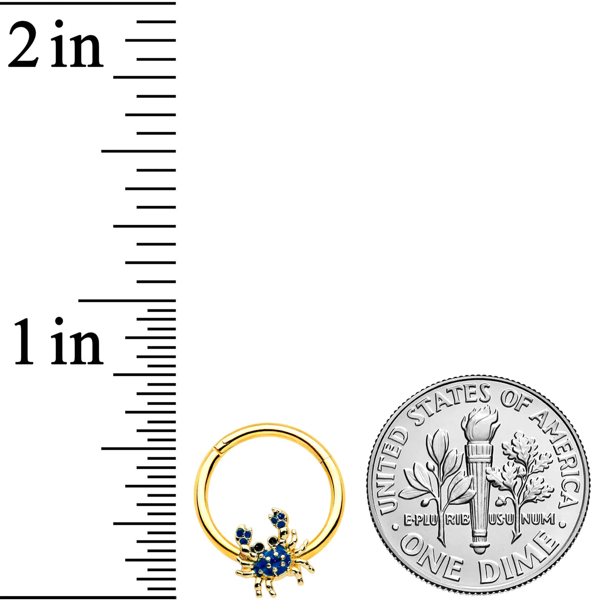 16G 3/8 Gold Tone Blue Crab Nautical Hinged Segment Ring - Image 3