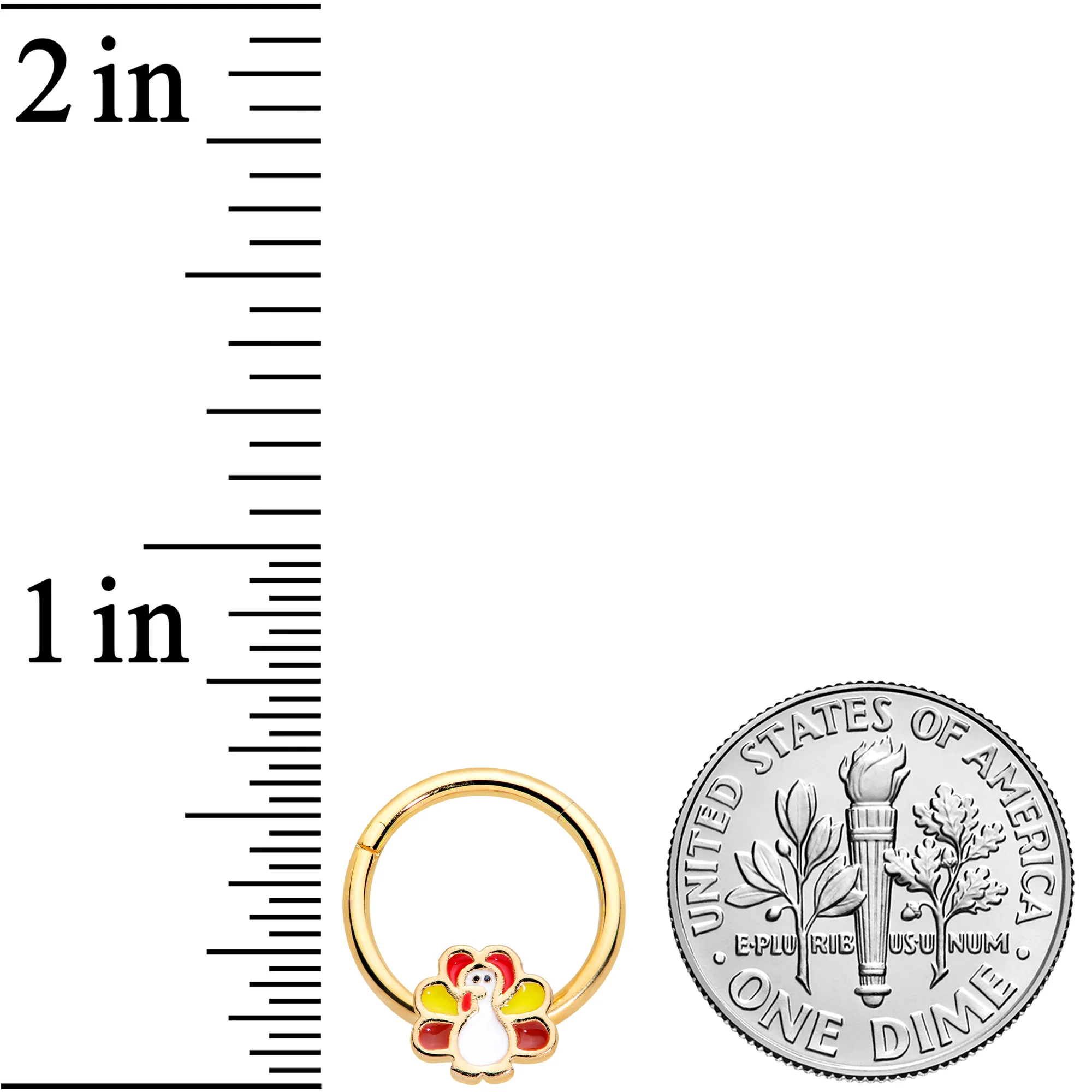 16G 3/8 Gold Tone Turkey Time Thanksgiving Hinged Segment Ring - Image 3