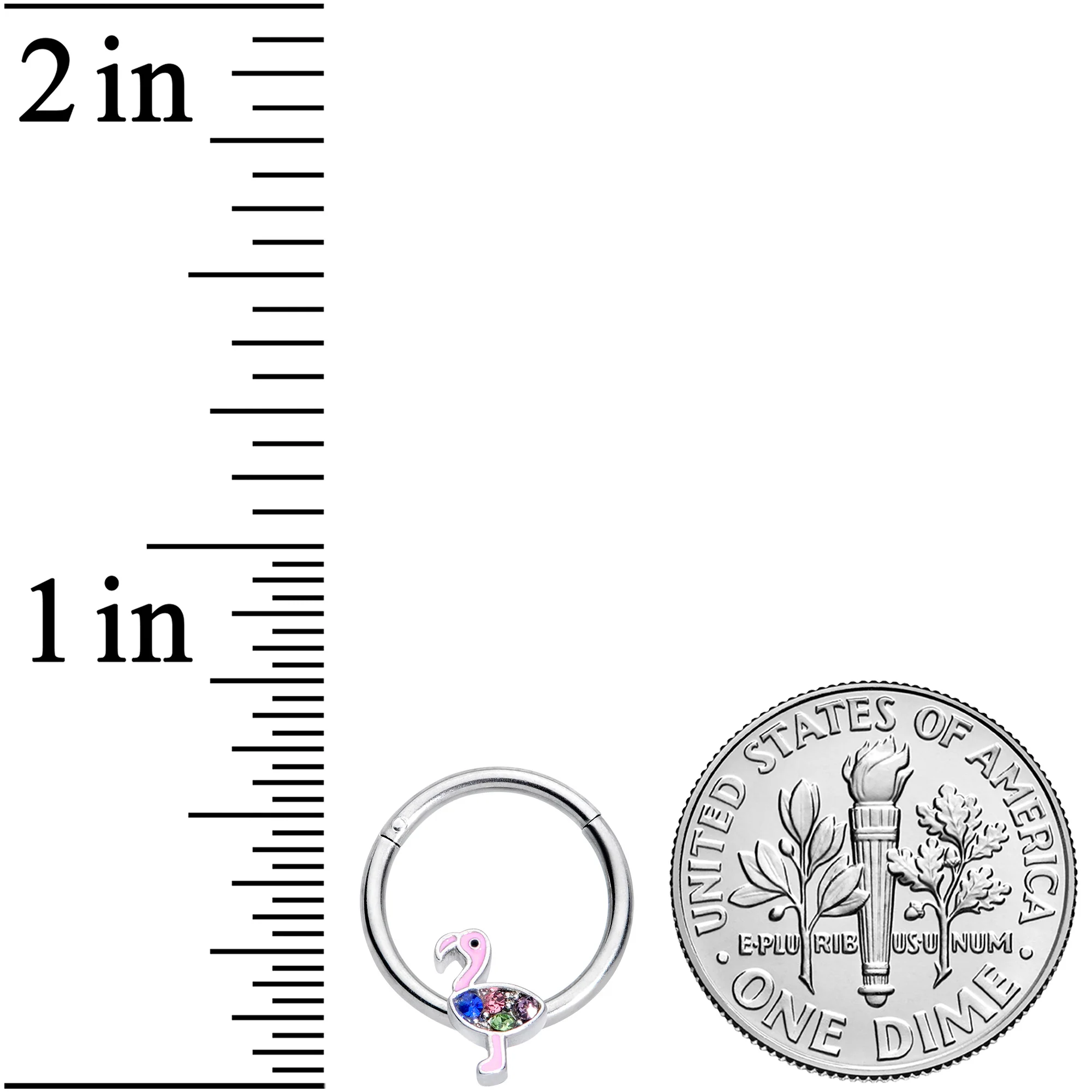 16G 3/8 Pink Blue Green Funky Flamingo Hinged Segment Ring - Image 3