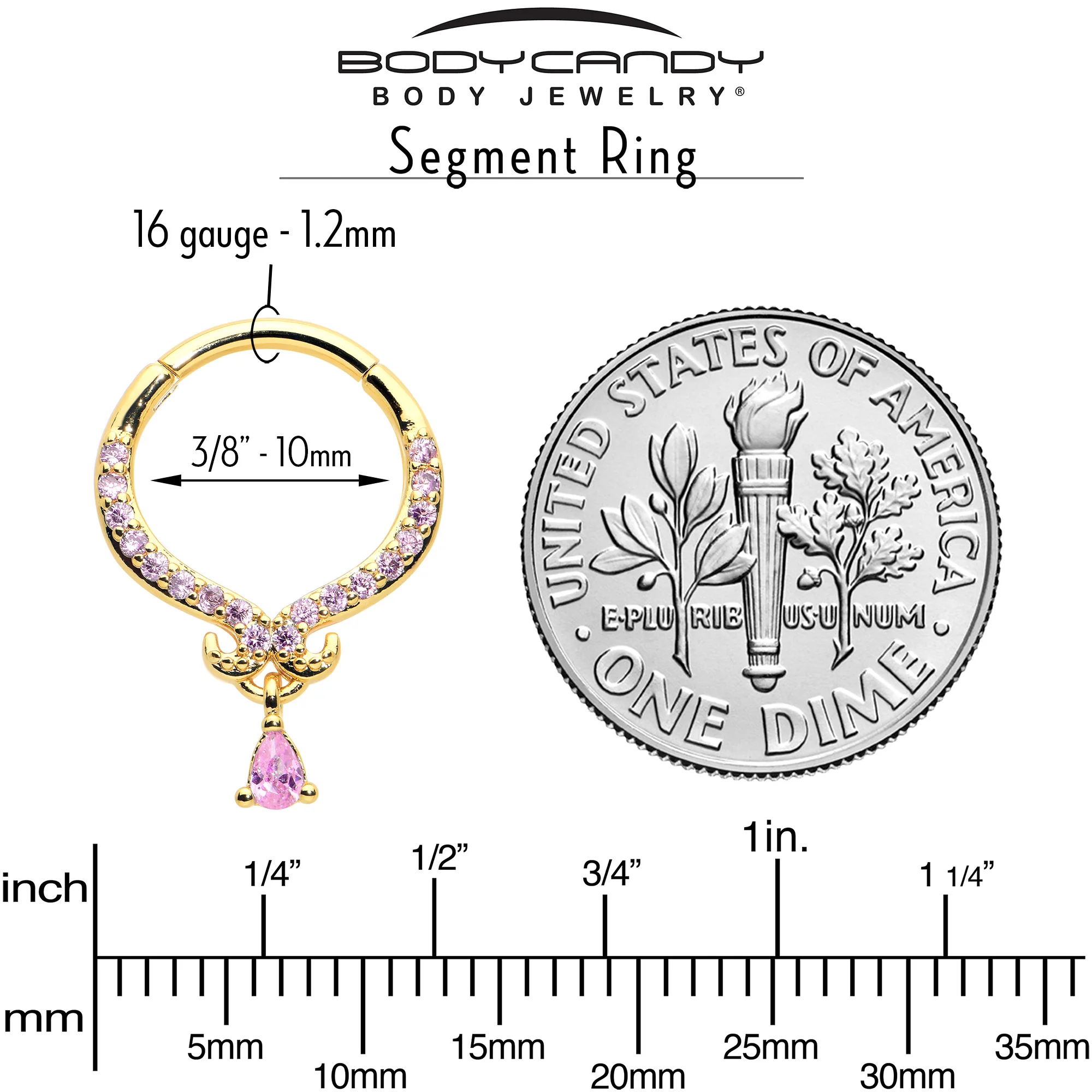 16G 3/8 Pink CZ Gem Gold Tone Elegant Curves Hinged Segment Ring - Image 7