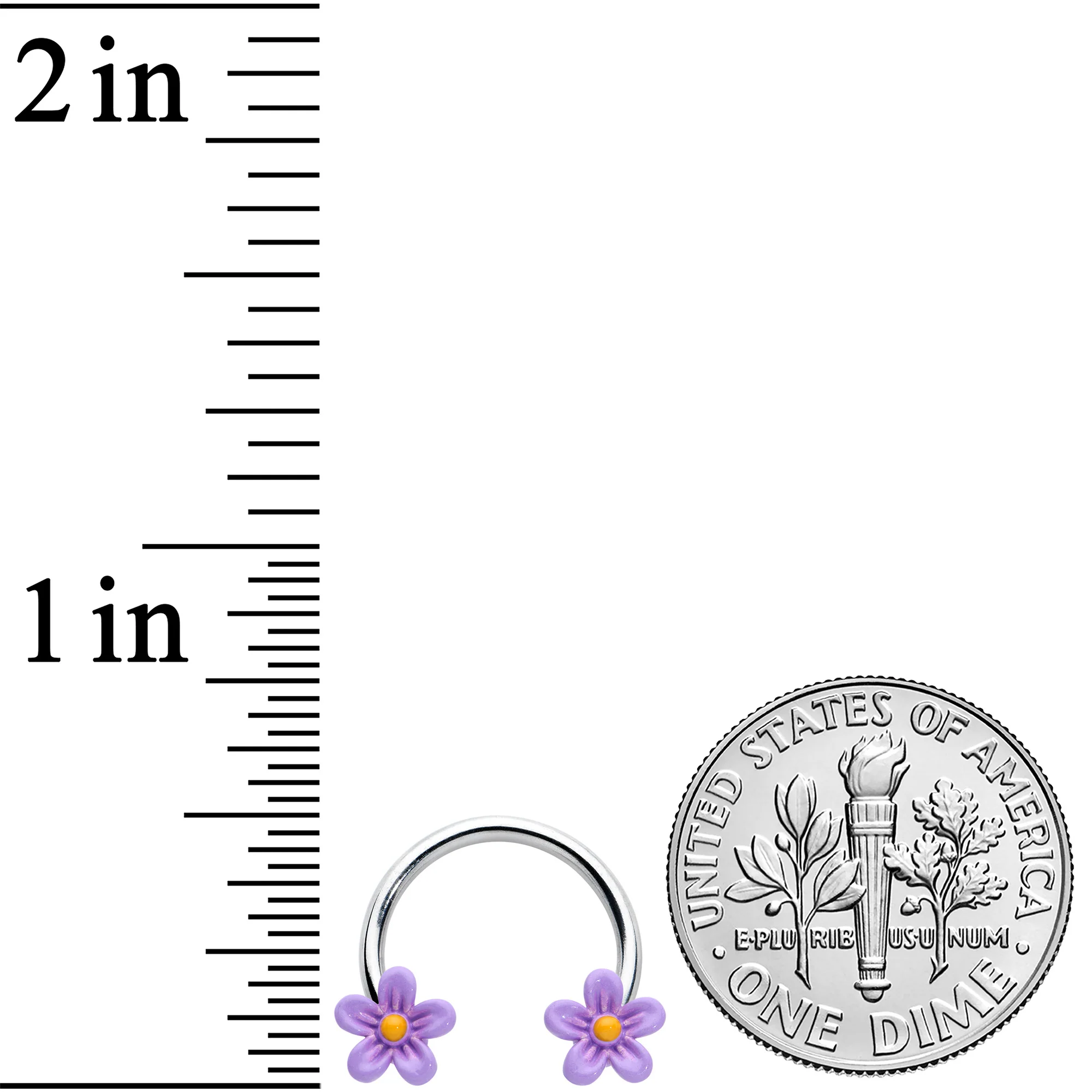 16G 3/8 Purple Ball Flowers Horseshoe Circular Barbell Set of 4 - Image 3