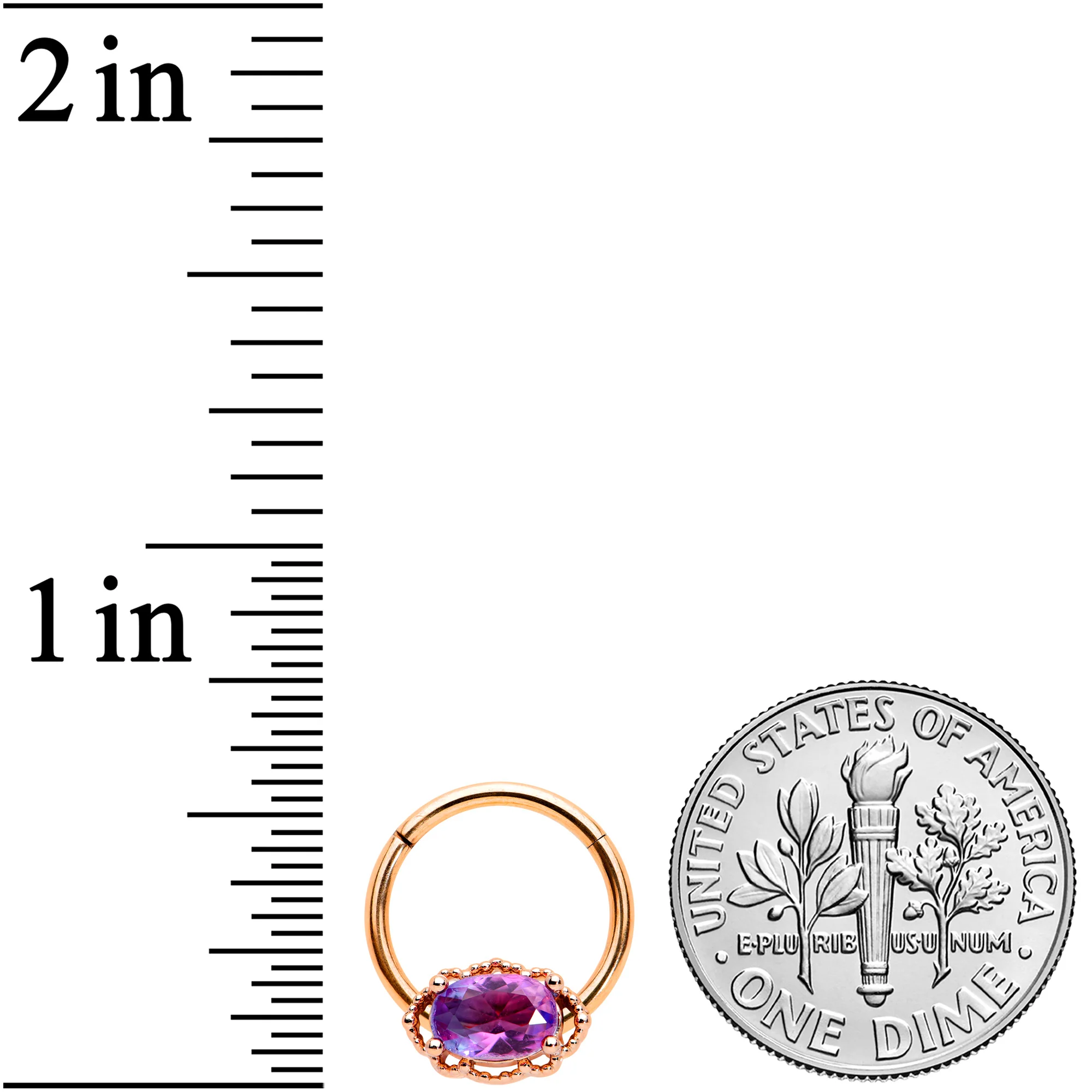 16G 3/8 Purple Tourmaline Rose Gold Tone Hinged Segment Ring - Image 3