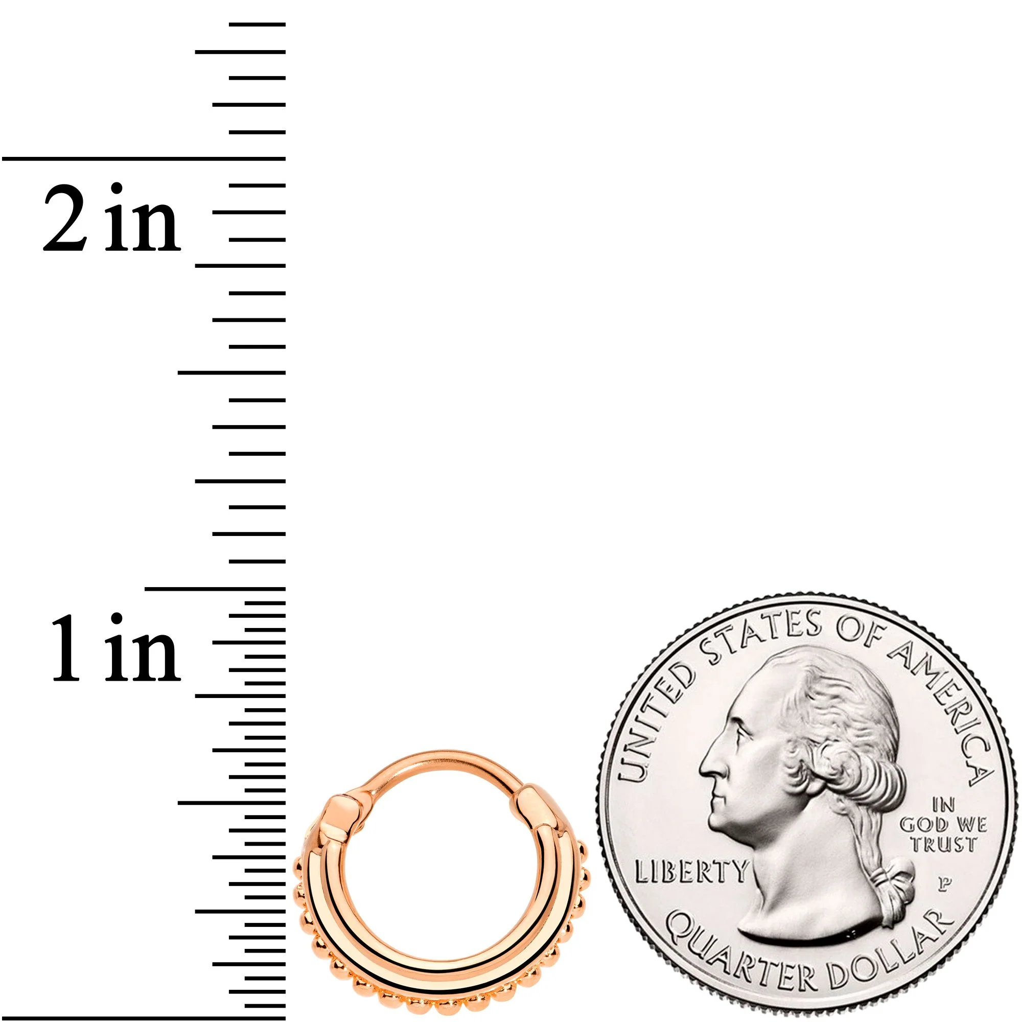 16G 3/8 Rose Gold Tone Delicate Details Hinged Septum Ring - Image 4