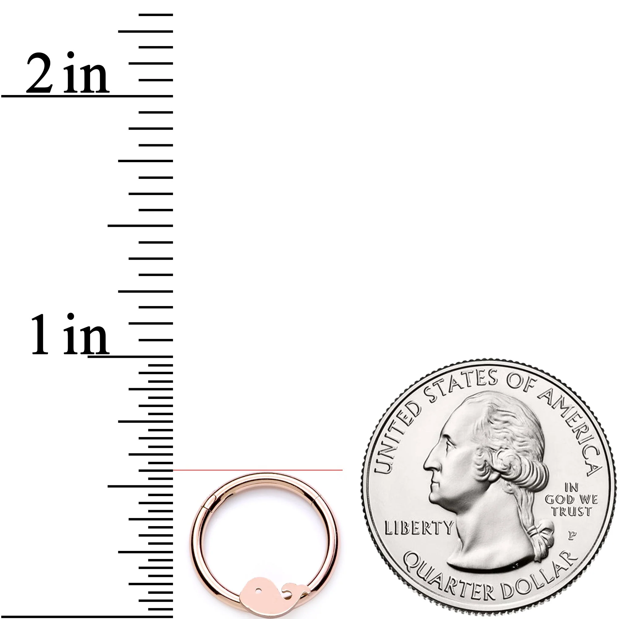 16G 3/8 Rose Gold Whale of a Hinged Segment Ring - Image 3