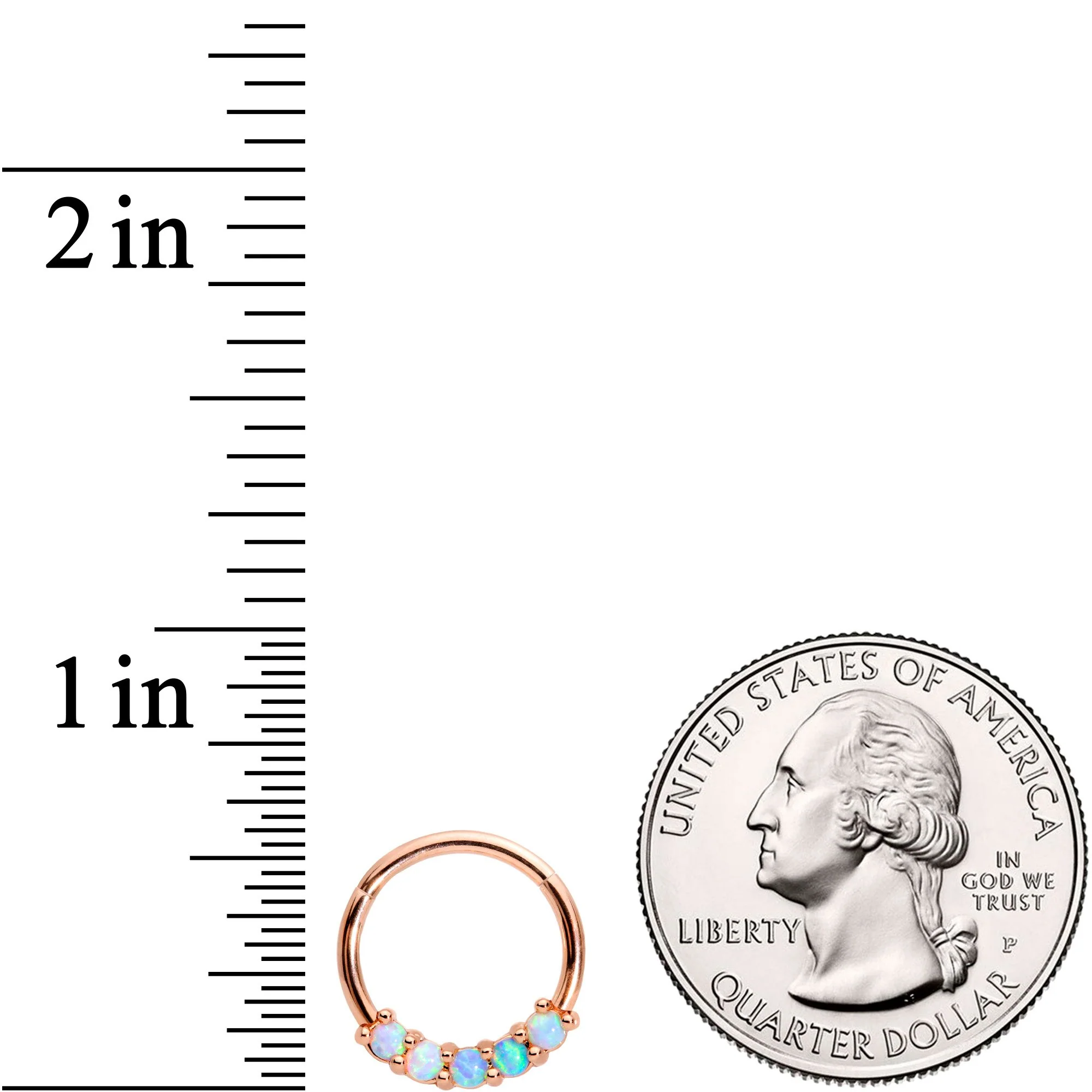 16G 3/8 Synthetic Opal Rose Gold Tone Hinged Segment Ring - Image 4