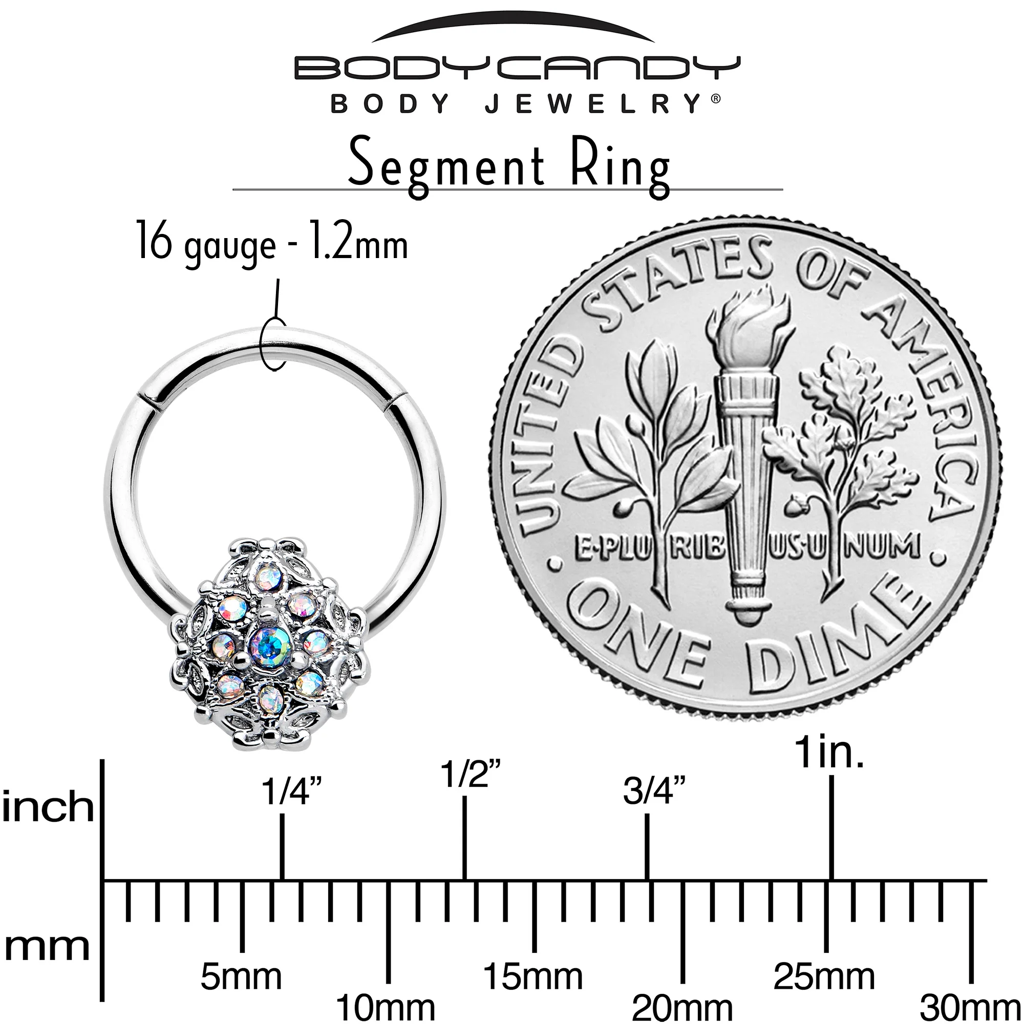 16G 3/8 Aurora Gem Retro Sunburst Hinged Segment Ring - Image 3