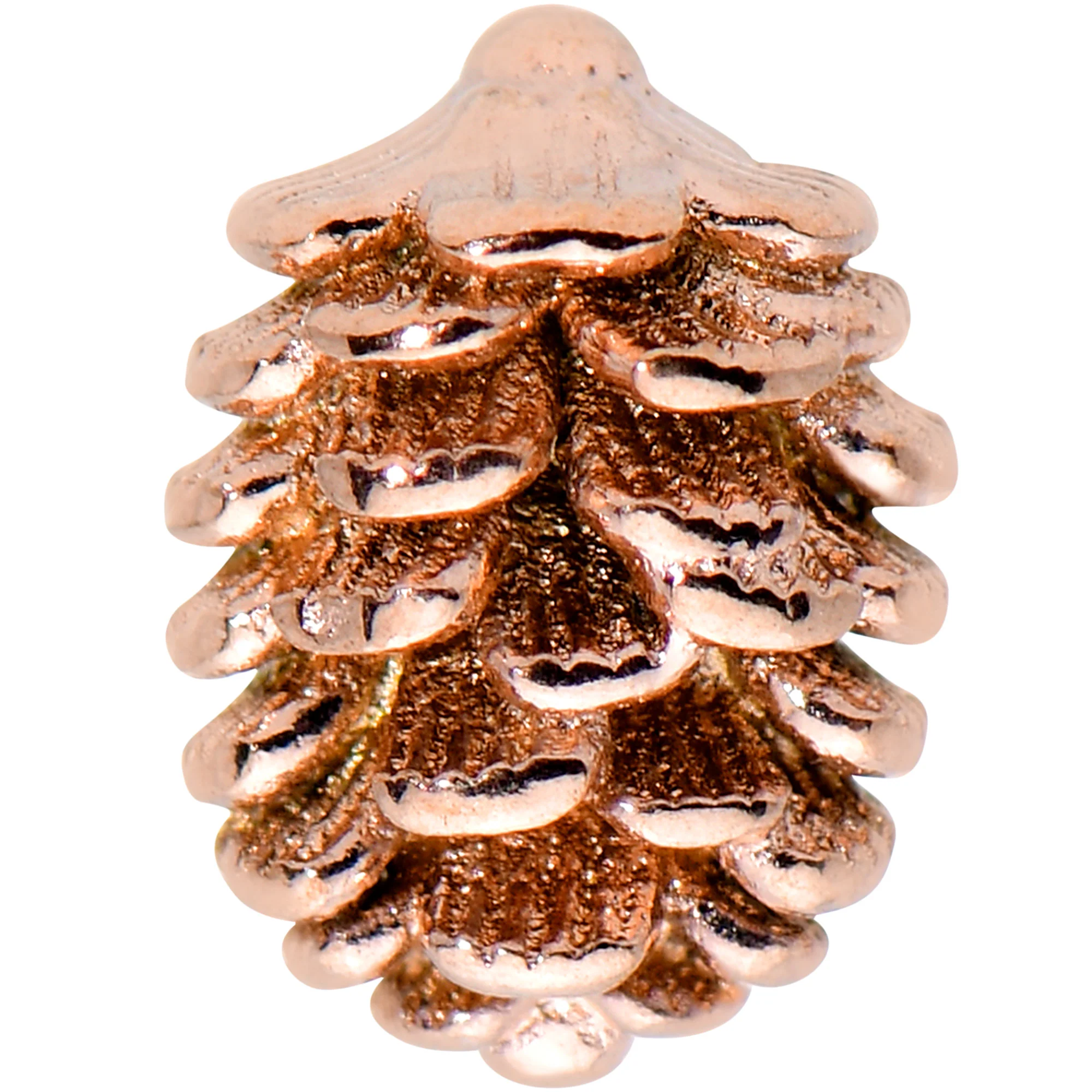 16G 5/16 Autumn Pine Cone Labret Monroe Tragus - Image 2