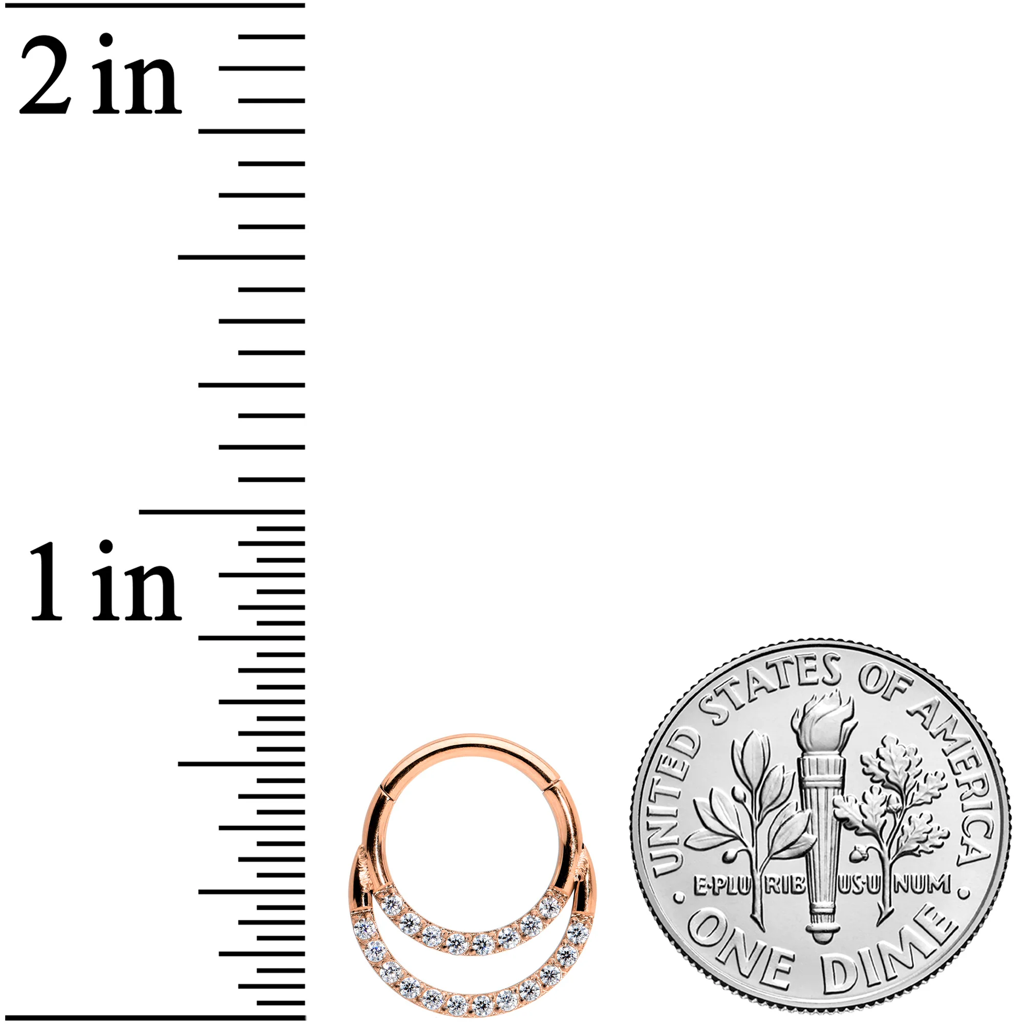 16G 5/16 Clear CZ Gem Rose Gold Tone Double Row Segment Ring - Image 3
