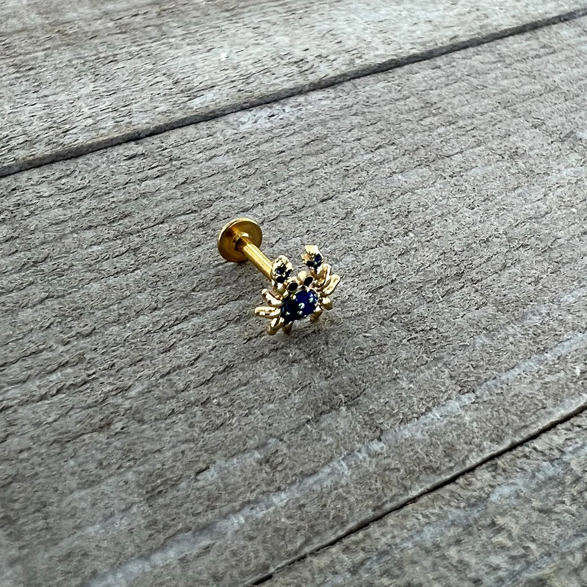 16G 5/16 Gold Tone Blue Crab Nautical Labret Monroe Tragus - Image 5