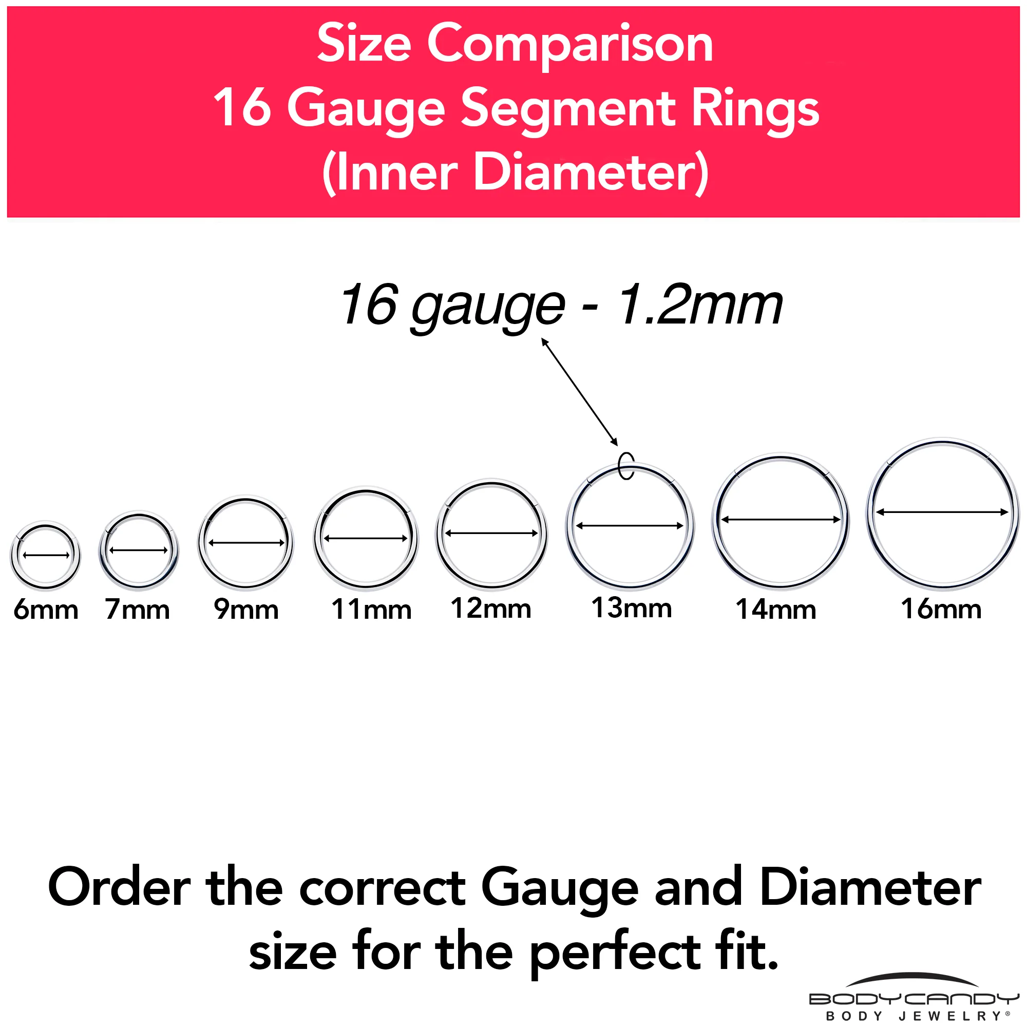 16G 5/8 316L Surgical Steel Precision Hinged Segment Hoop - Image 9