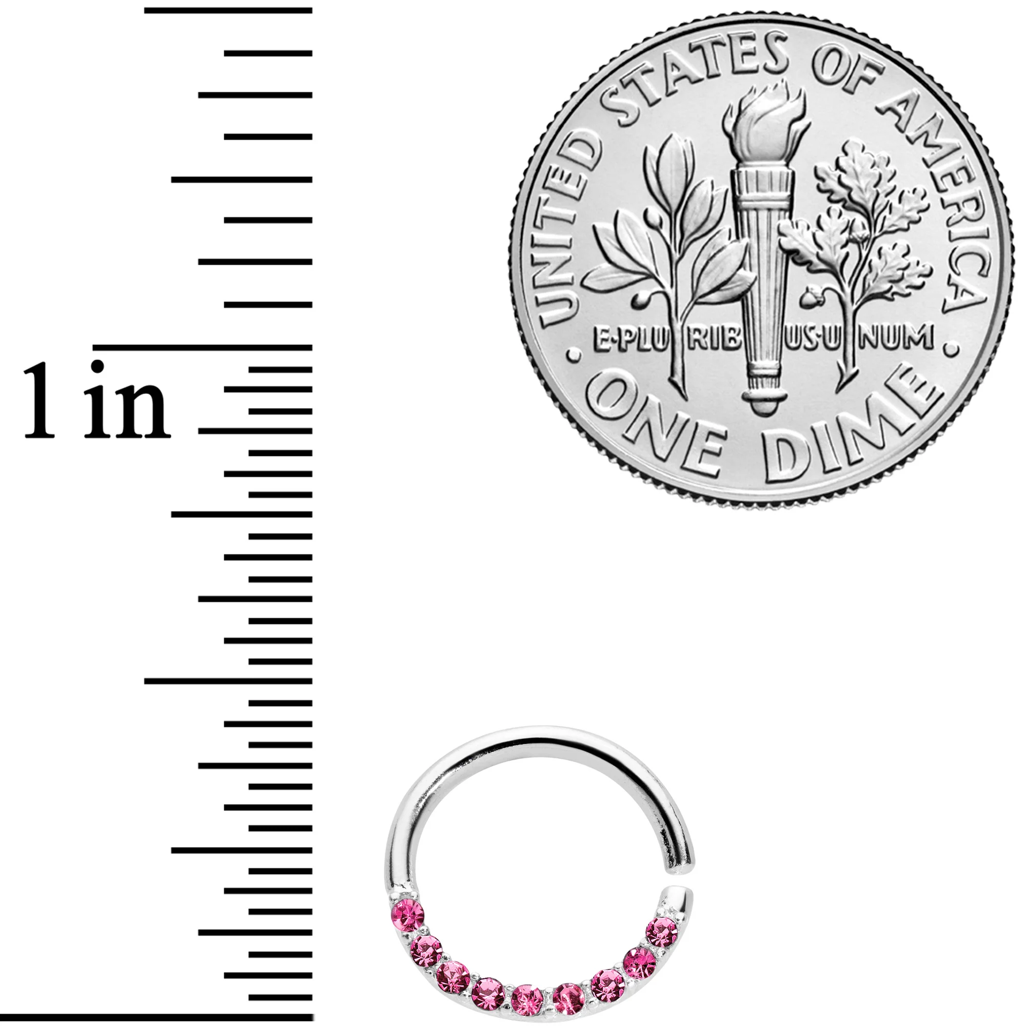 16G 5/16 Pink Gem Simple Elegance Seamless Circular Ring - Image 2