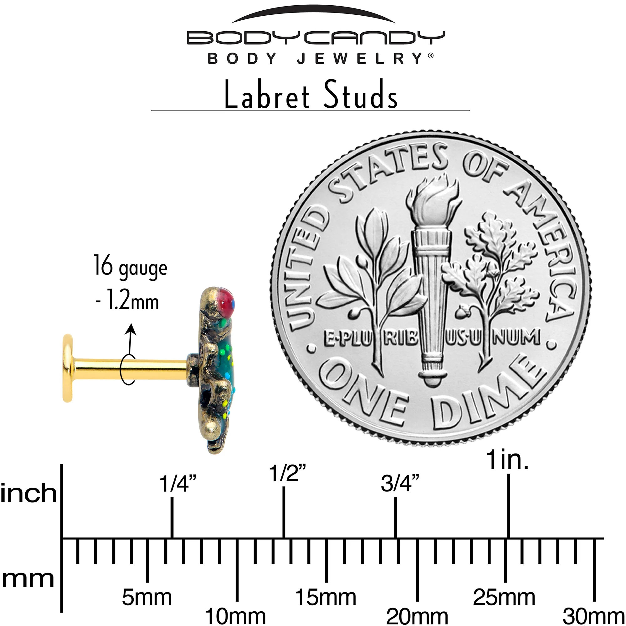 16G Frog Flat Back Earring Set Internally Threaded 3 Pack - Image 5