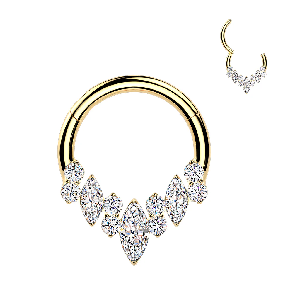 16G 5/16 Implant Grade Titanium Forward Facing CZ Gem Majestic Hinged Segment Ring - Image 3