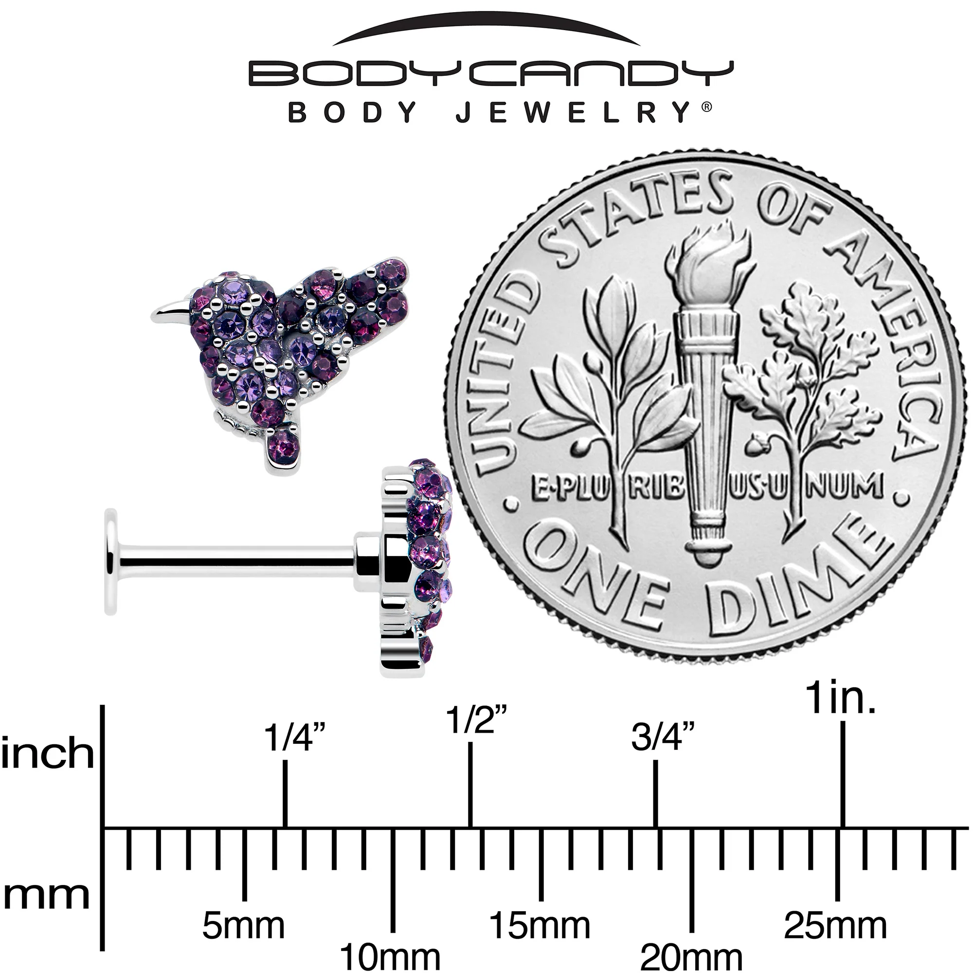 16G 5/16 Purple Gem Hummingbird Flair Labret Monroe Tragus - Image 5