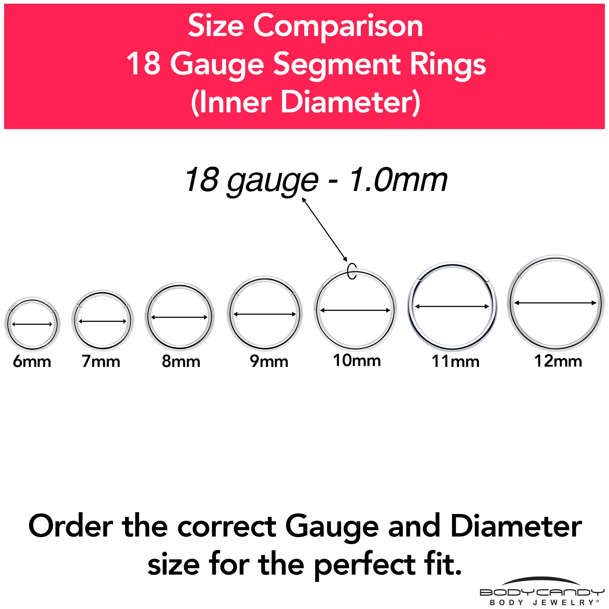 18G 7/16 316L Surgical Steel Precision Hinged Segment Hoop - Image 9