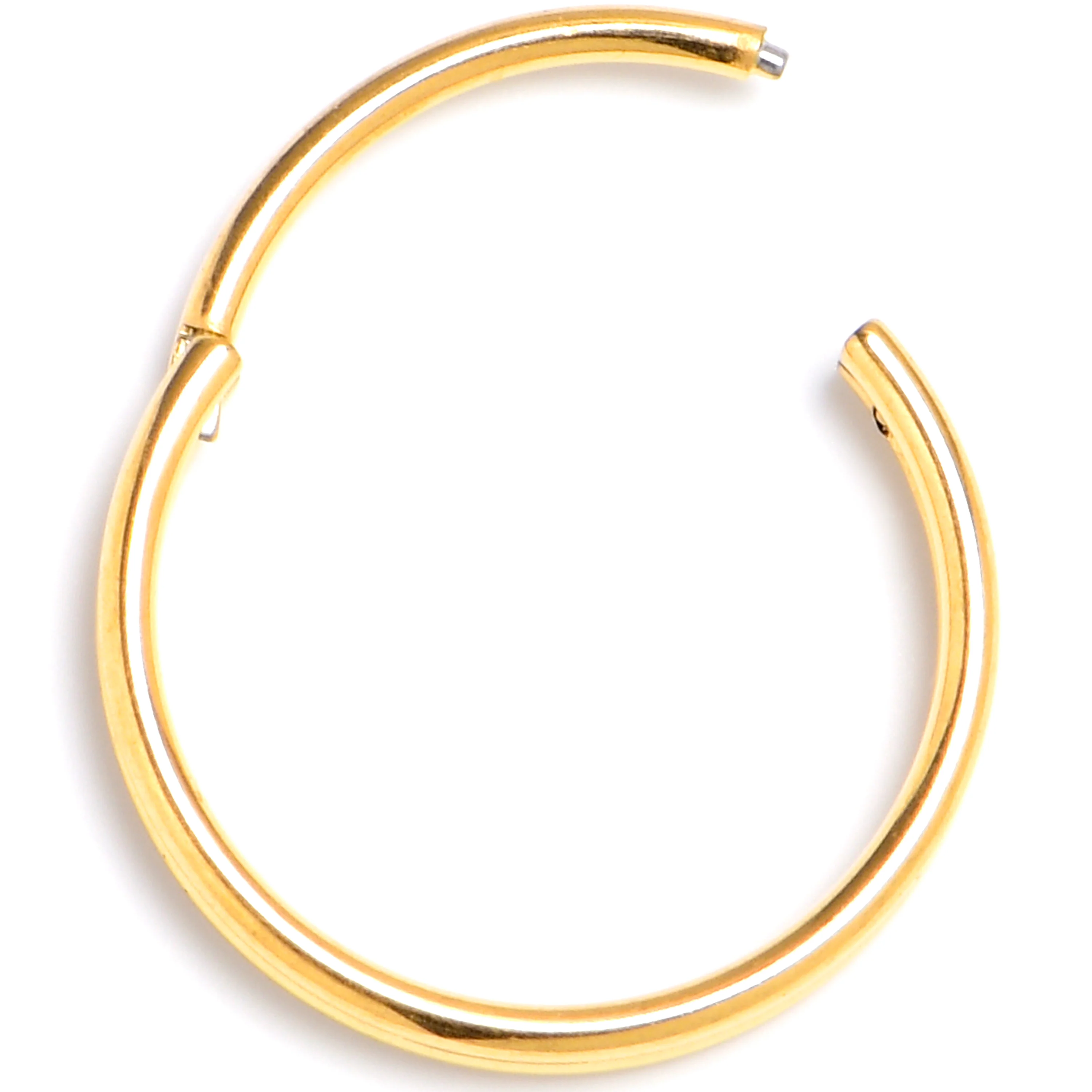 20G 3/8 Gold PVD 316L Surgical Steel Double Precision Hinged Segment Ring - Image 3