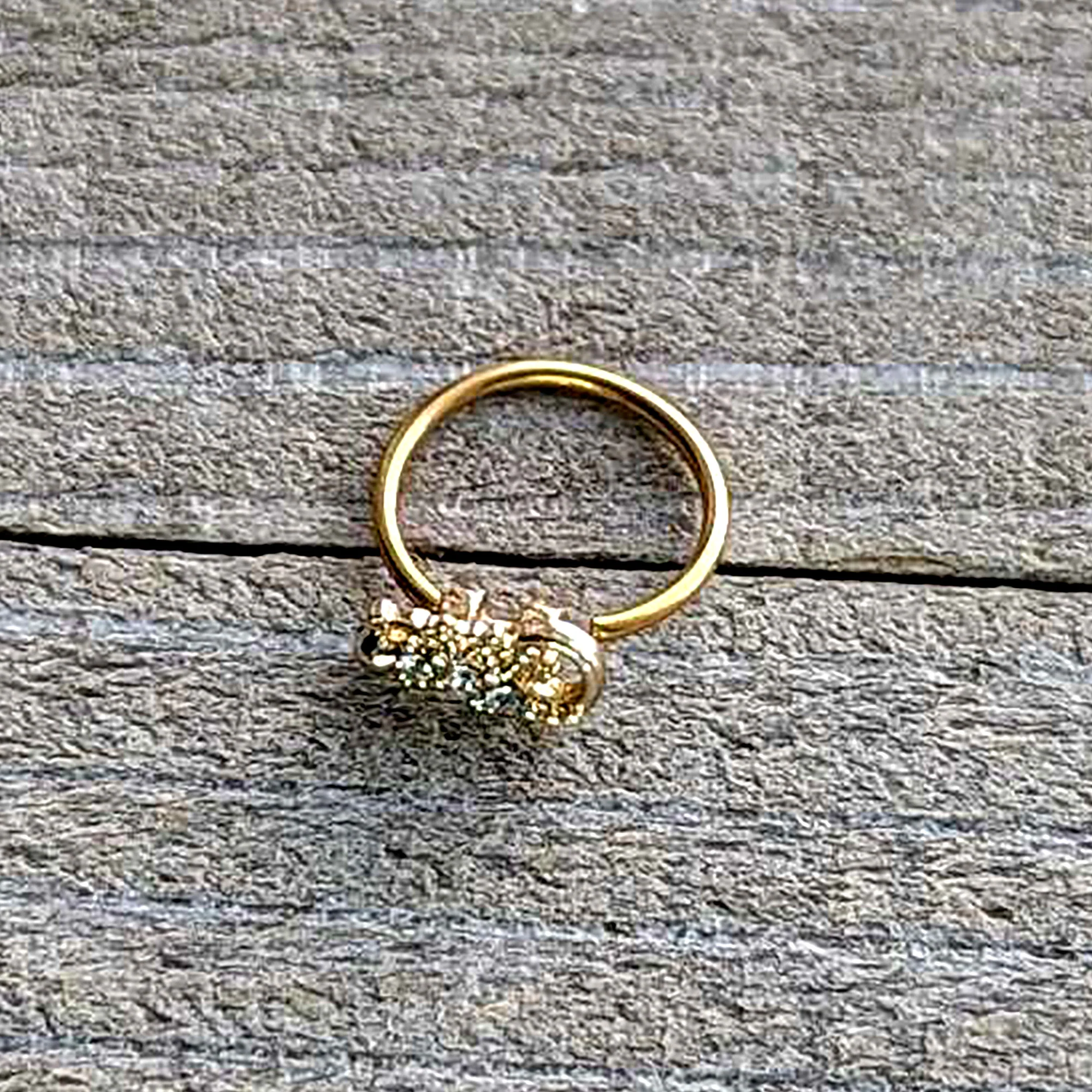 20G 5/16 Clear Gem Gold Tone Luscious Lizard Nose Hoop - Image 6
