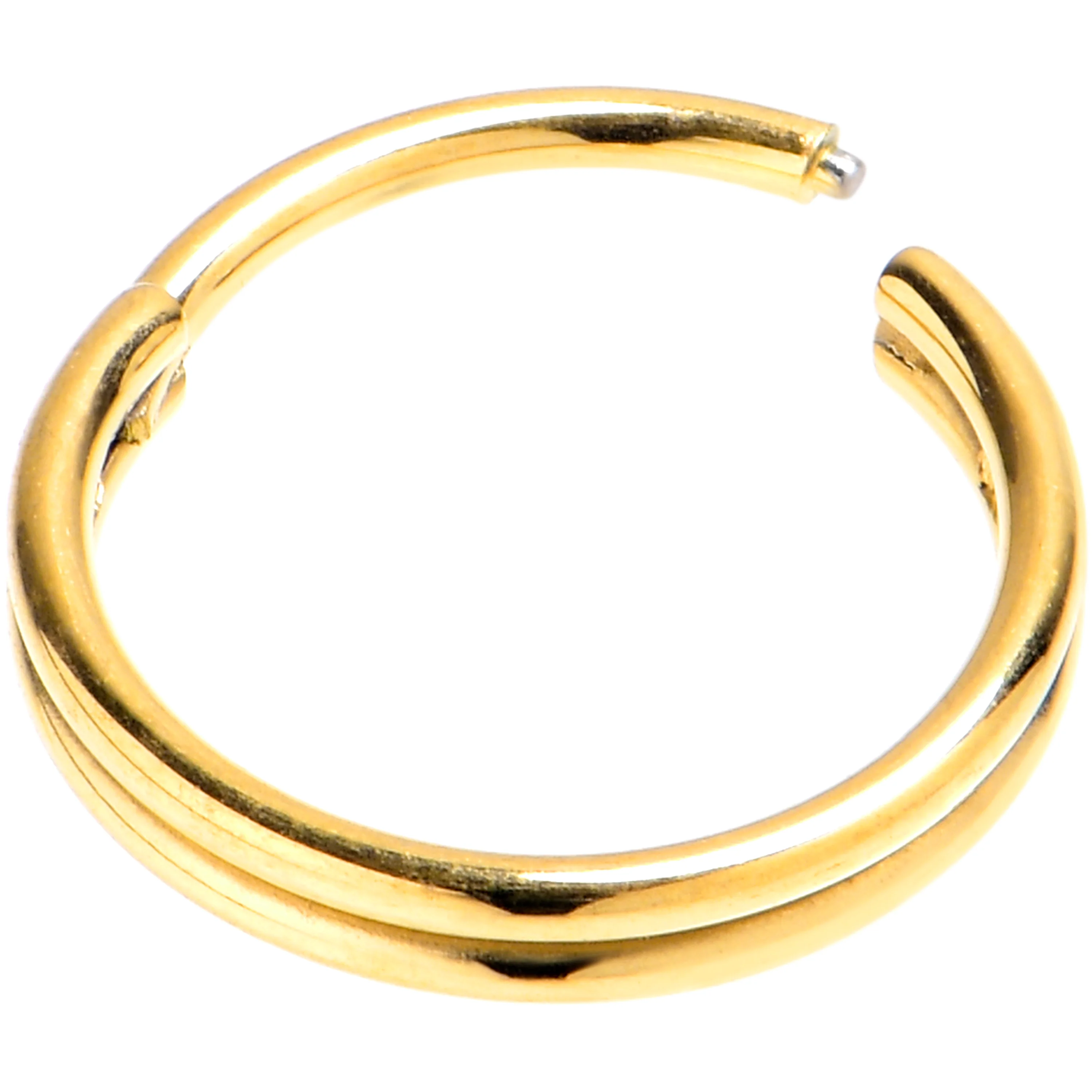 20G 5/16 Gold PVD 316L Surgical Steel Double Precision Hinged Segment Ring - Image 2