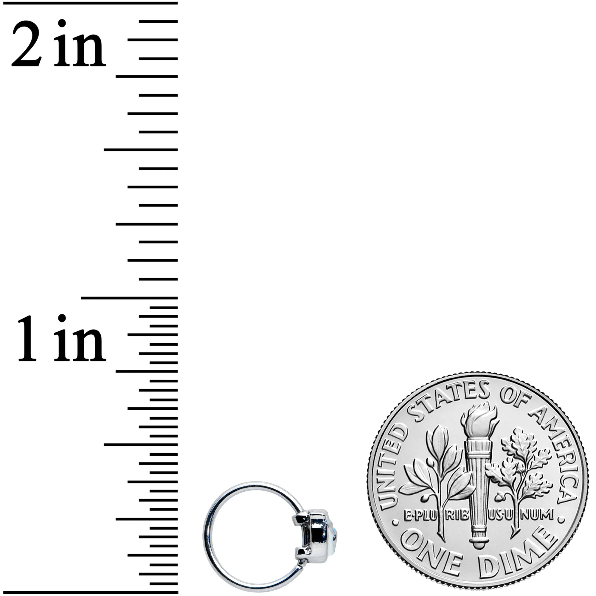 20G 5/16 Happy Little Blue Bird Nose Hoop - Image 4
