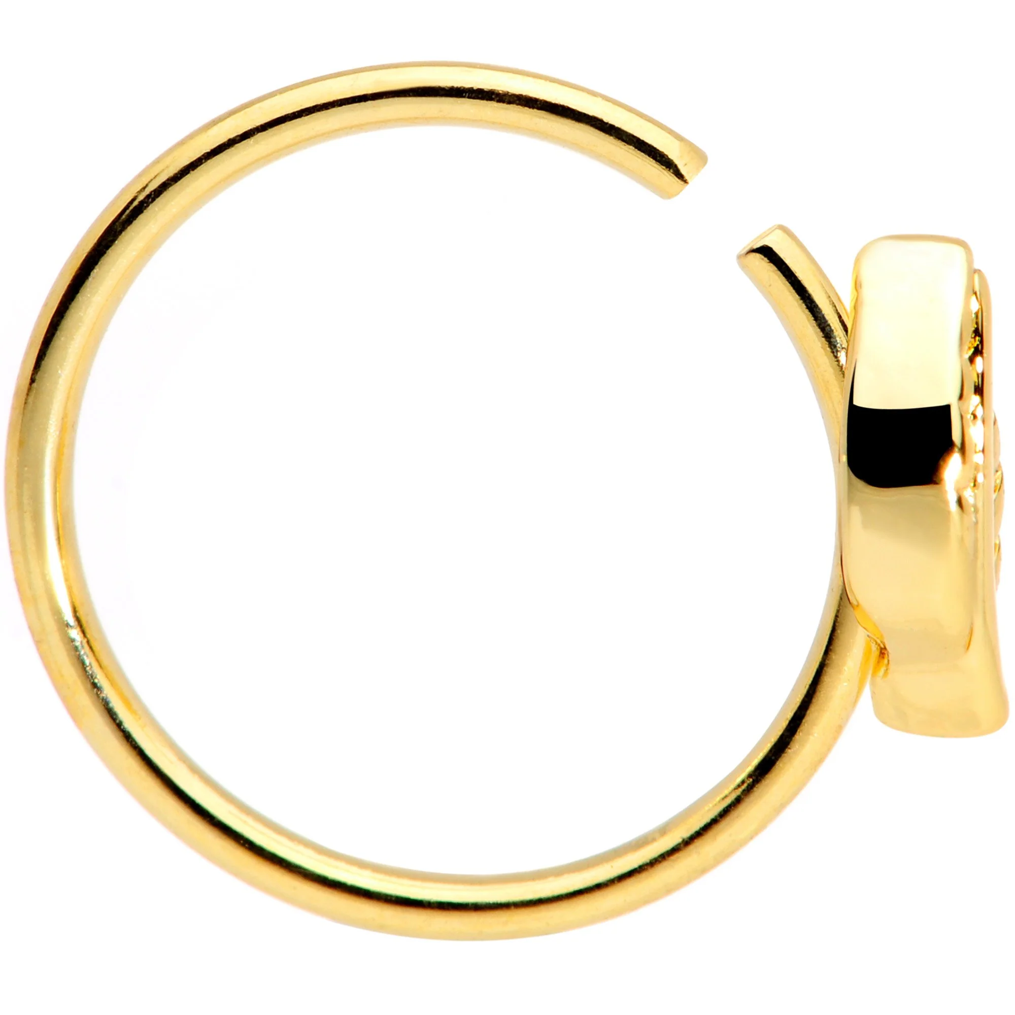 20G 5/16 Gold Tone Little Leaf Seamless Circular Ring - Image 2
