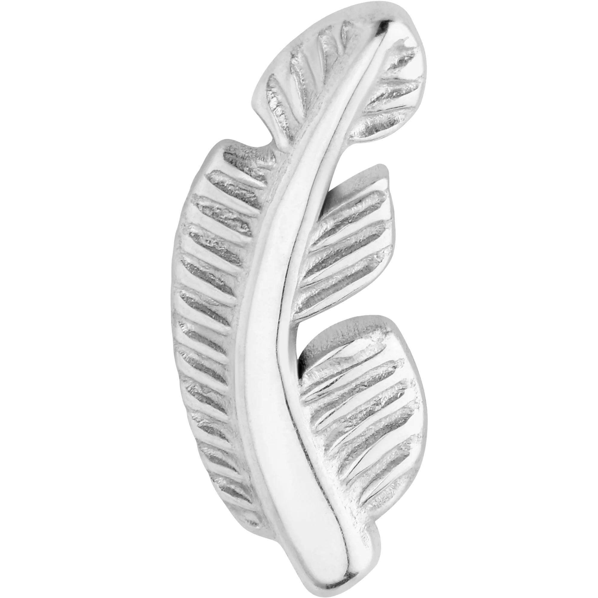 20G ASTM F-136 Implant Grade Titanium Fashion Feathers Stud Earrings - Image 3