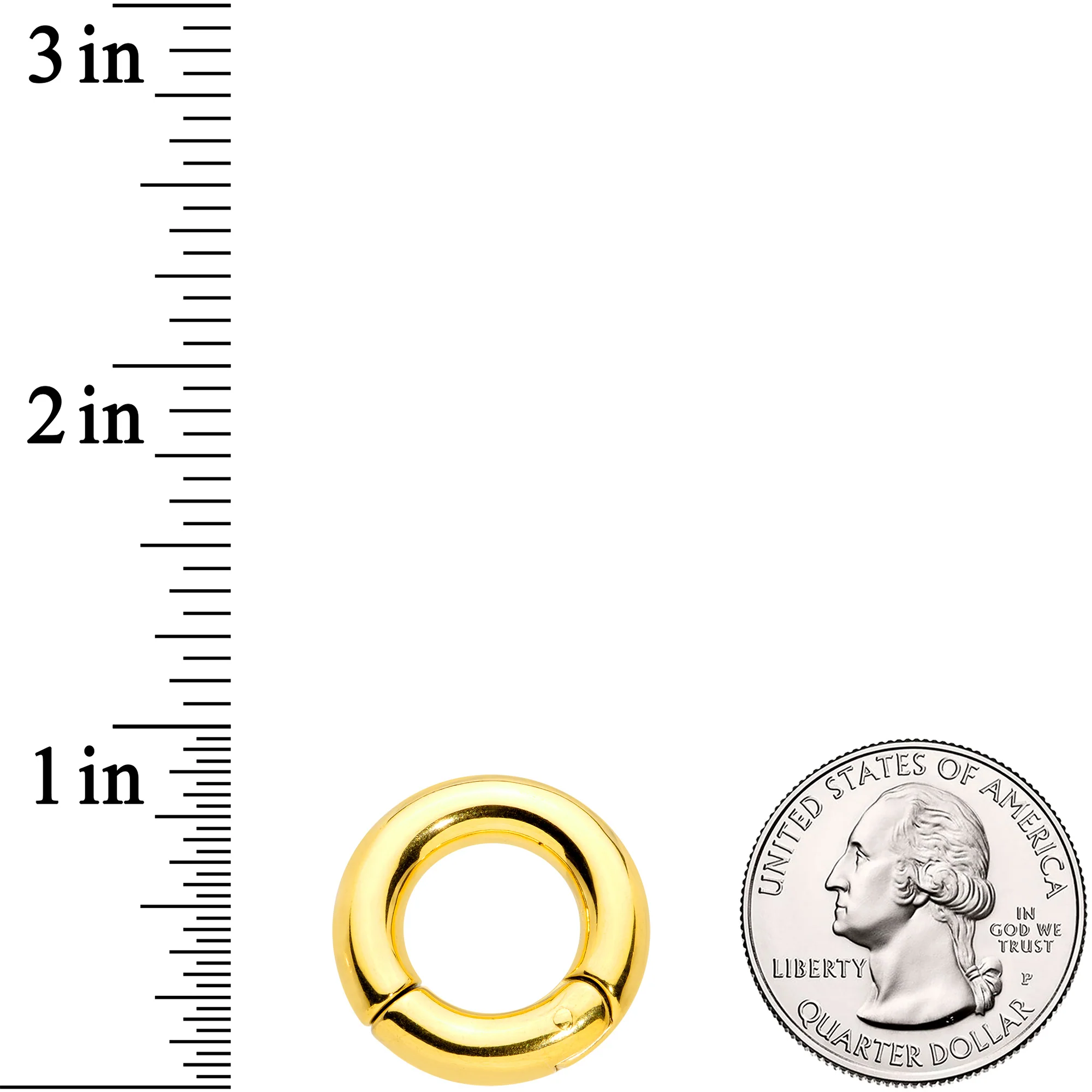 4G 1/2 Gold Tone PVD Steel Hinged Segment Ring - Image 3