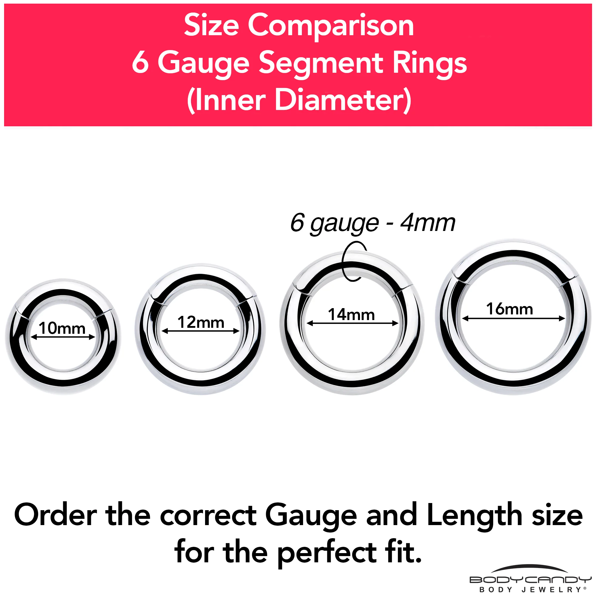 6G 9/16 316L Surgical Steel Precision Hinged Segment Hoop - Image 9