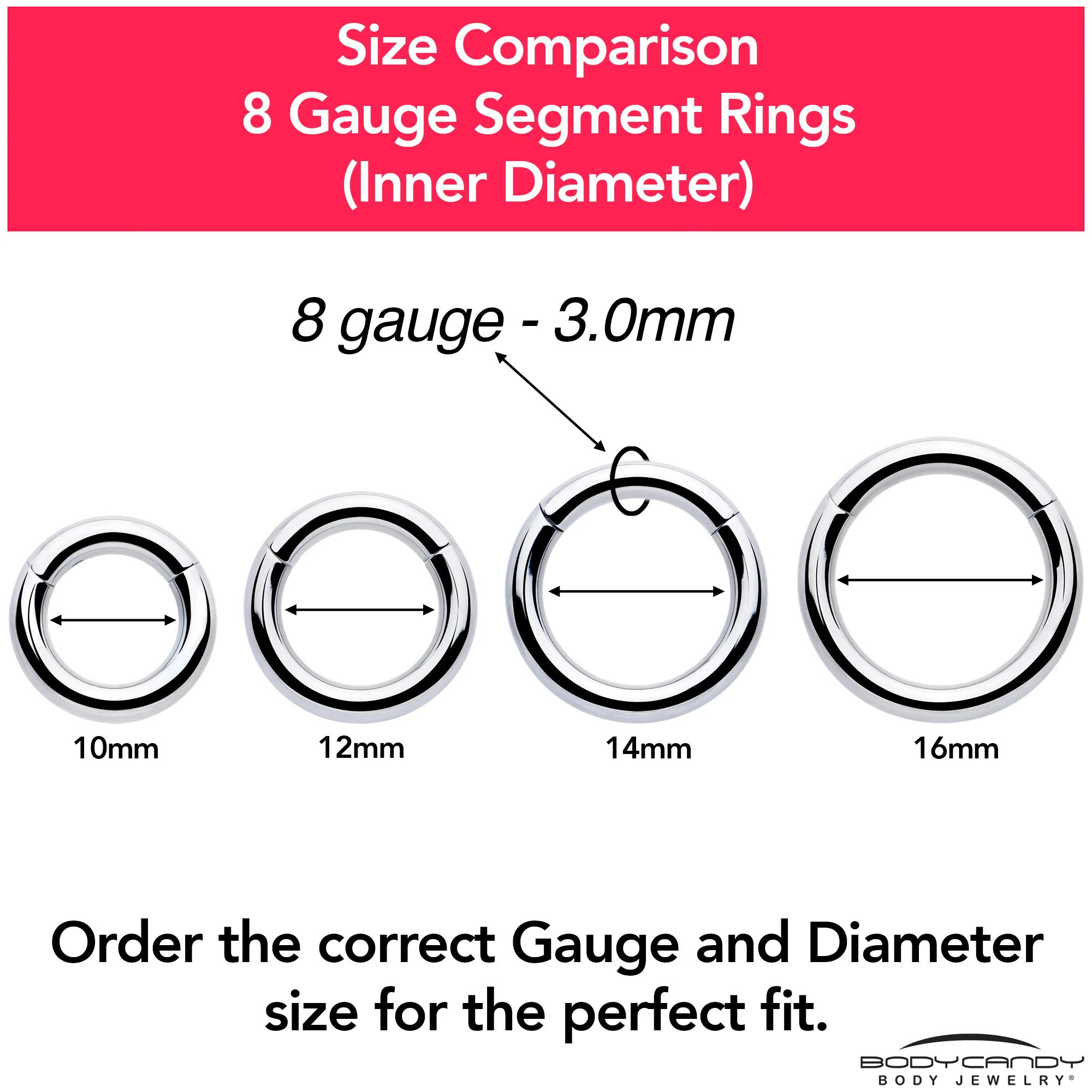 8G 3/8 316L Surgical Steel Precision Hinged Segment Hoop - Image 9