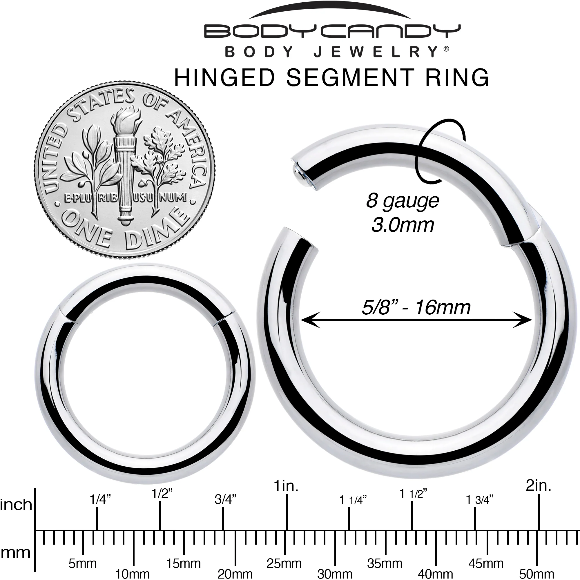 8G 5/8 316L Surgical Steel Precision Hinged Segment Hoop - Image 6