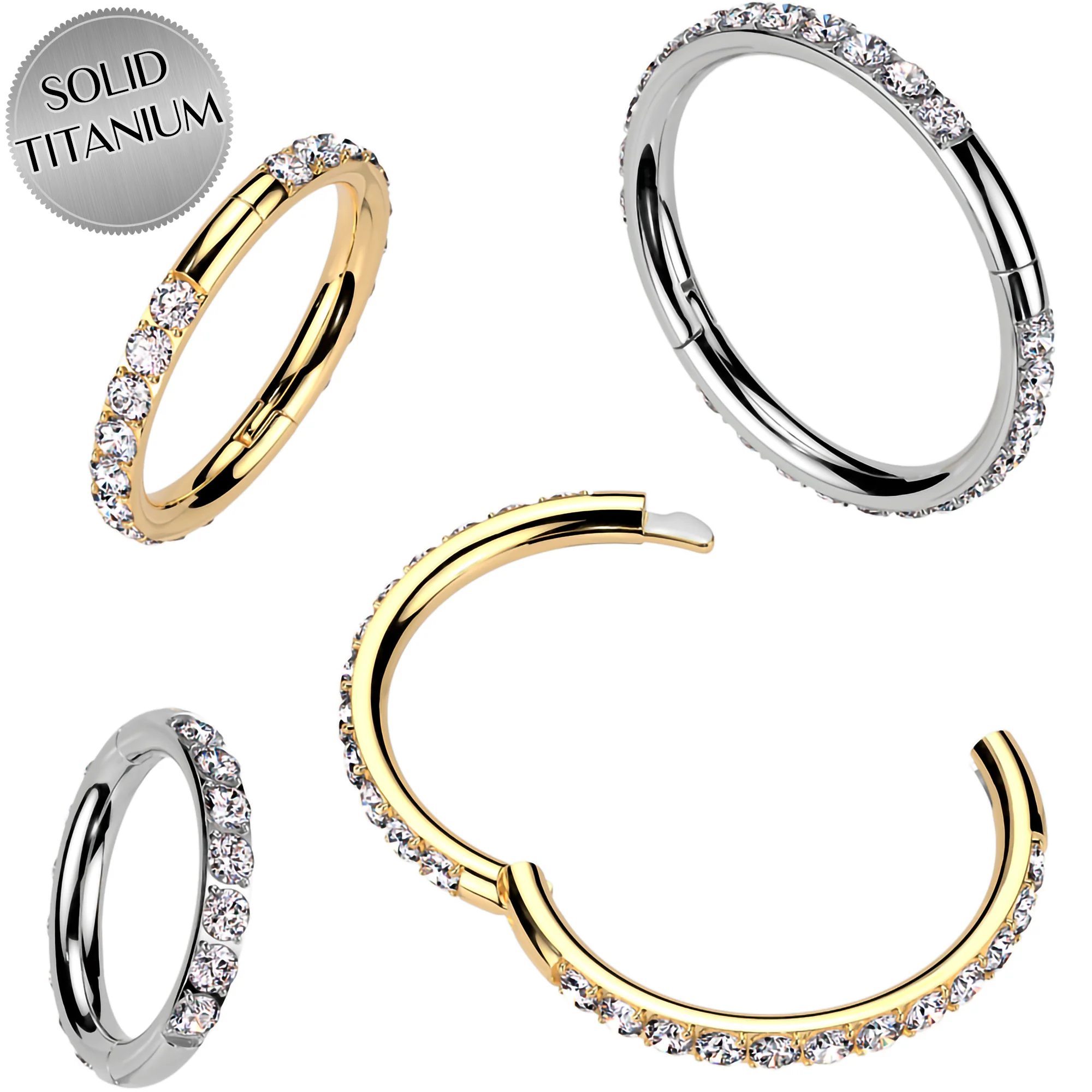 Implant Grade Titanium Forward CZ Double Sided Hoop Segment Ring - Image 17