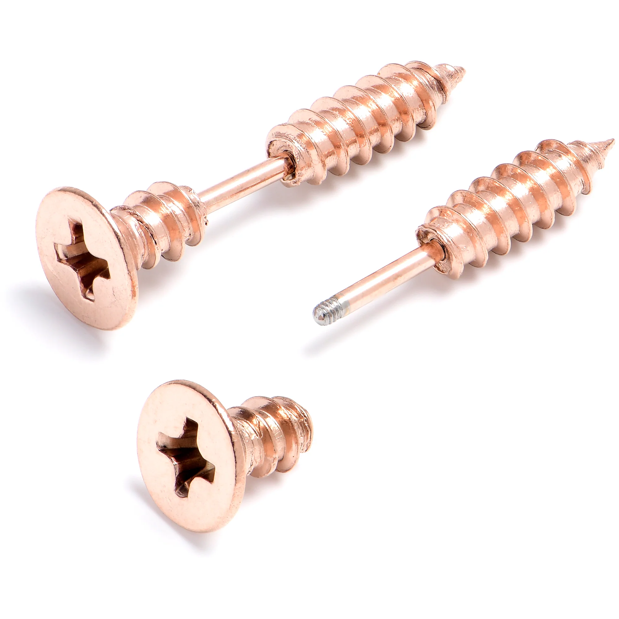 Rose Gold Stainless Steel Screw Stud Earrings Cheater Plug Set - Image 3